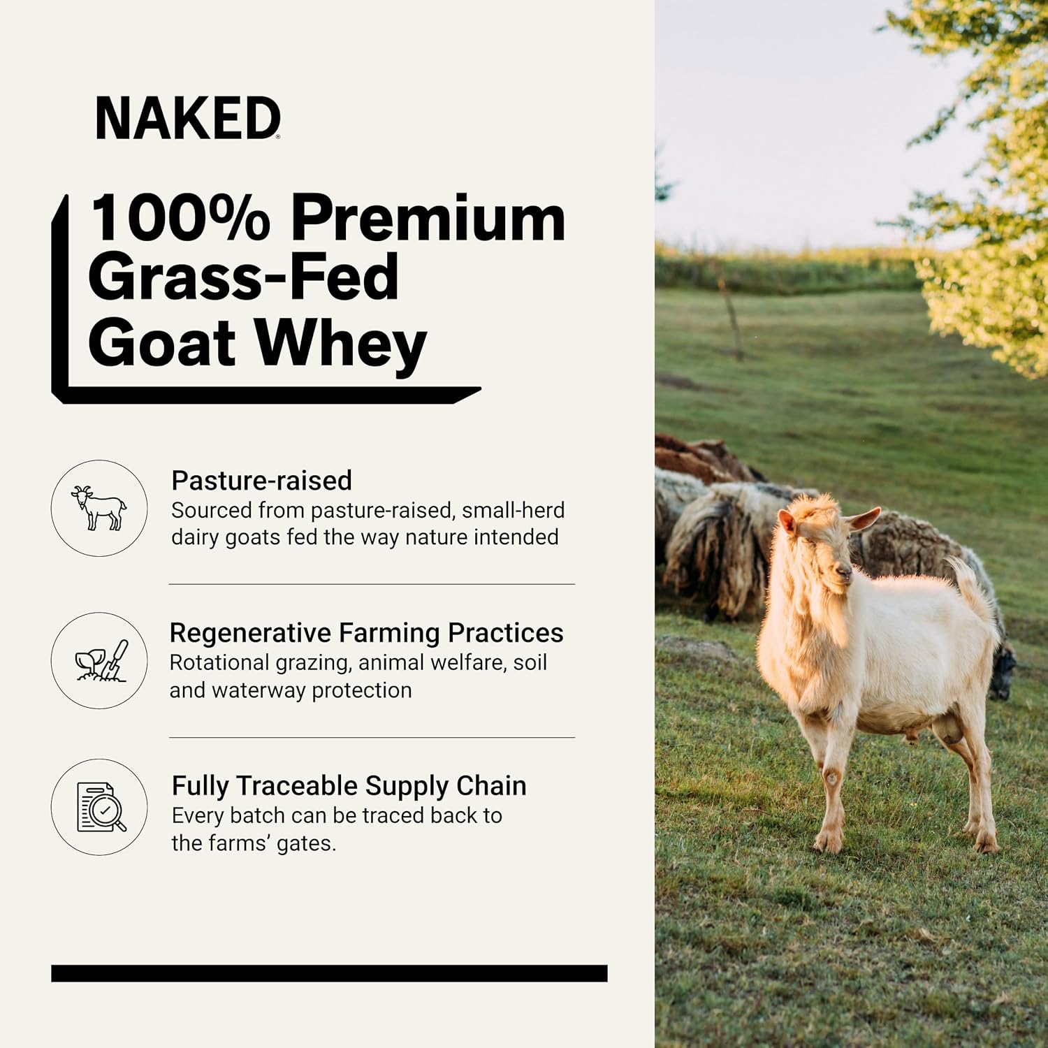 NAKED Goat - Pasture Fed Goat Whey Protein Powder from Small-Herd Wisconsin Dairies, 2Lb Bulk, GMO Free, Soy Free. Easy to Digest - All Natural - 23 Grams of Protein - 30 Servings