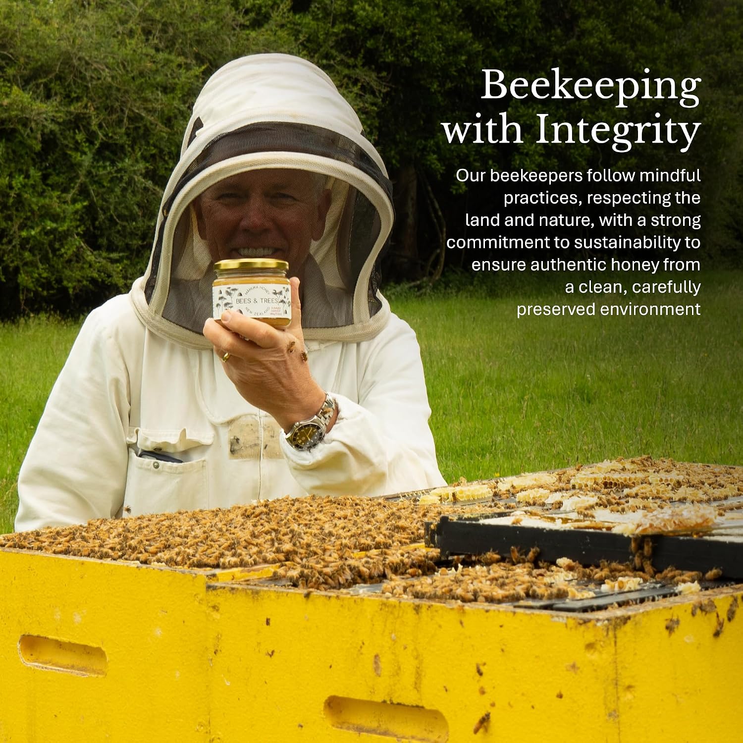 Bees & Trees Manuka Honey 550+ MGO - Raw Pure New Zealand Monofloral, 380g | Natural, Unpasteurized, Minimally Processed Mānuka Honey for Your Daily Routine, Tea, Coffee & Smoothies
