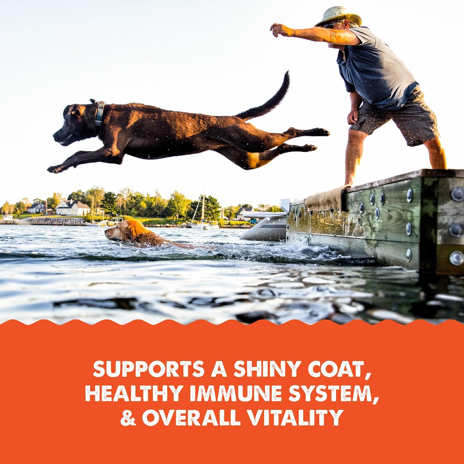 Grizzly Pet Products Salmon Plus Omega 3-6-9 Food Supplement for Dogs and Cats, 32 Ounce