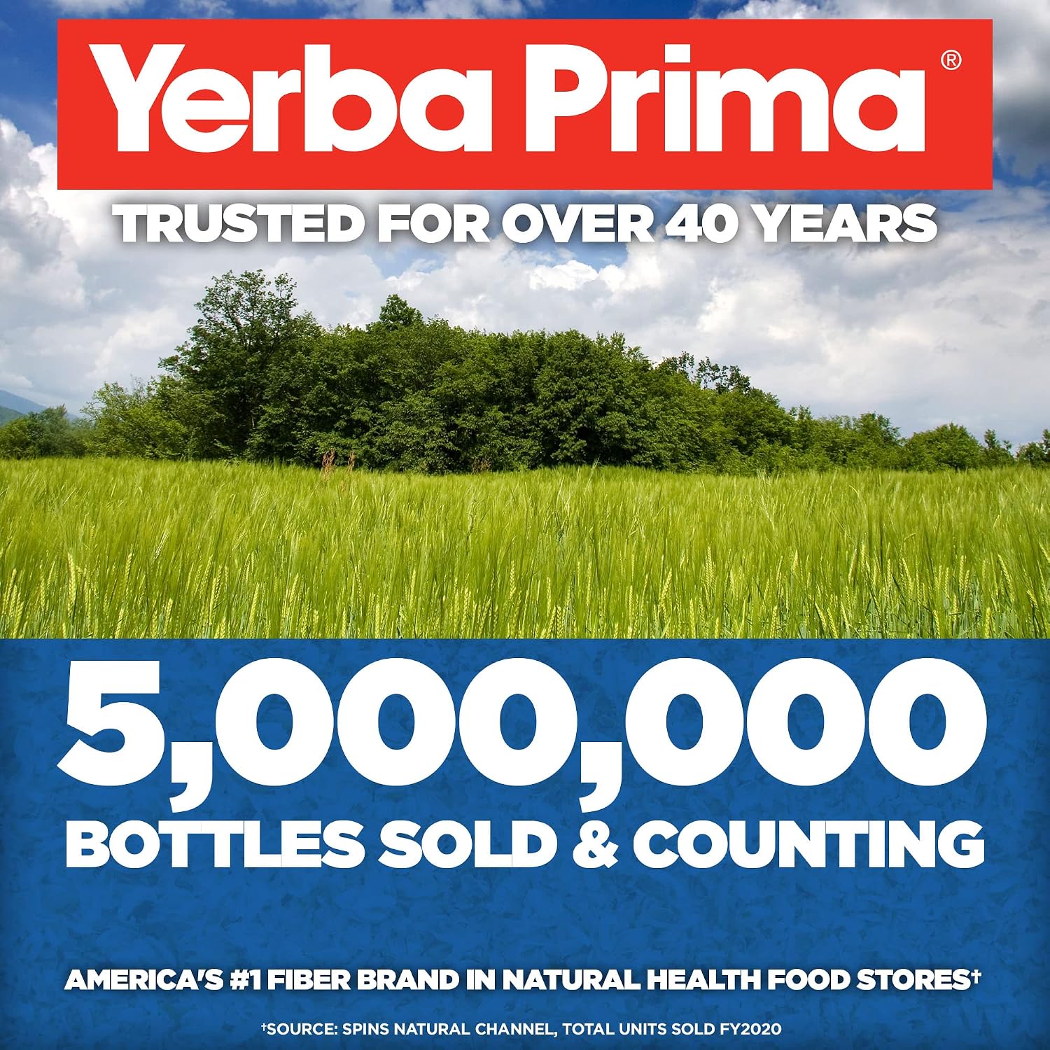 Yerba Prima Psyllium Whole Husks, Colon Cleanser 12 oz (Pack of 2) - All Natural Dietary Fiber, Pure Premium Psyllium, Lab-Tested Non-GMO, Gluten-Free Fiber