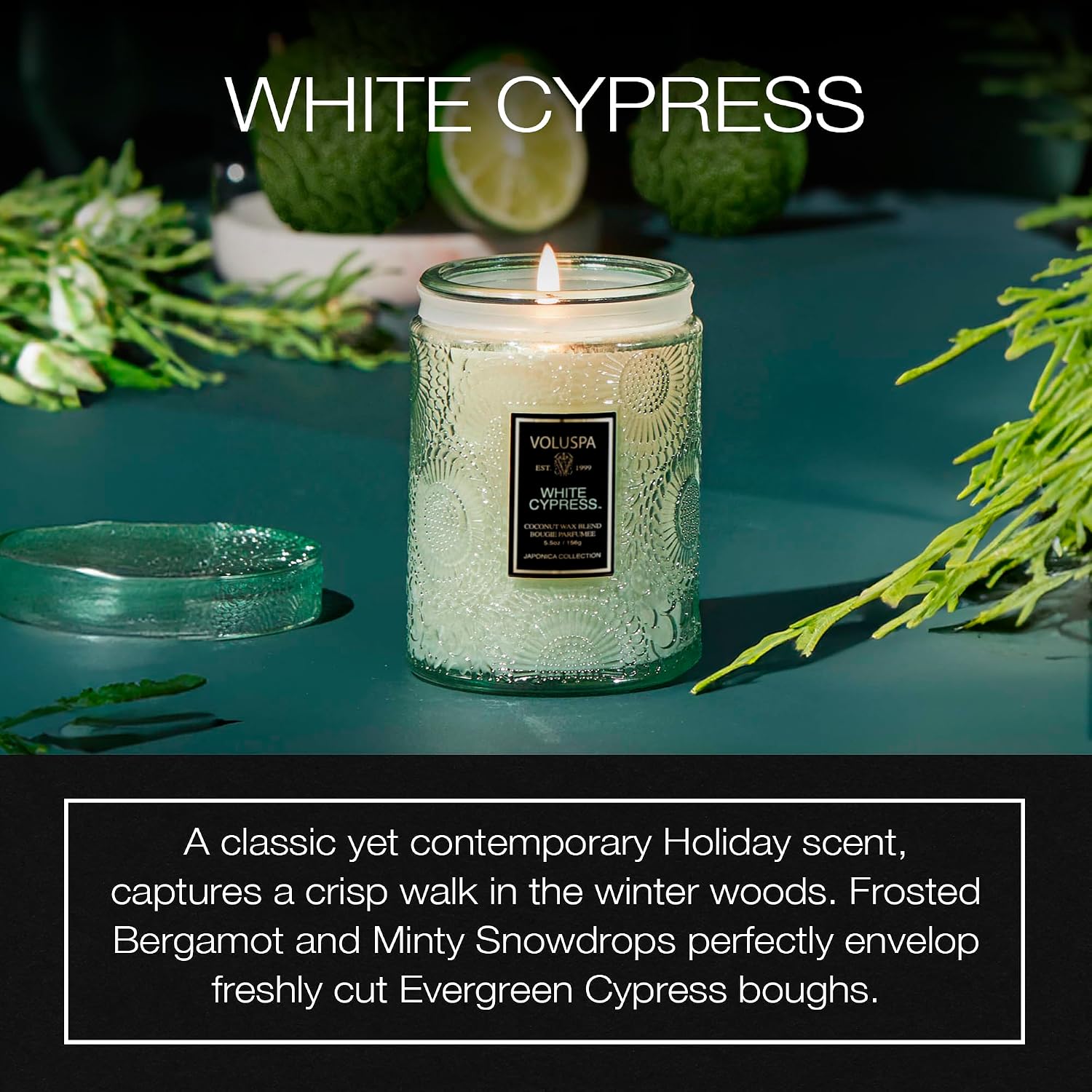 Voluspa Baltic Amber, Small Candle Jar, 5.5 oz, 50 Hour Burn Time, Coconut Wax for Clean Burning, Handcrafted in the USA