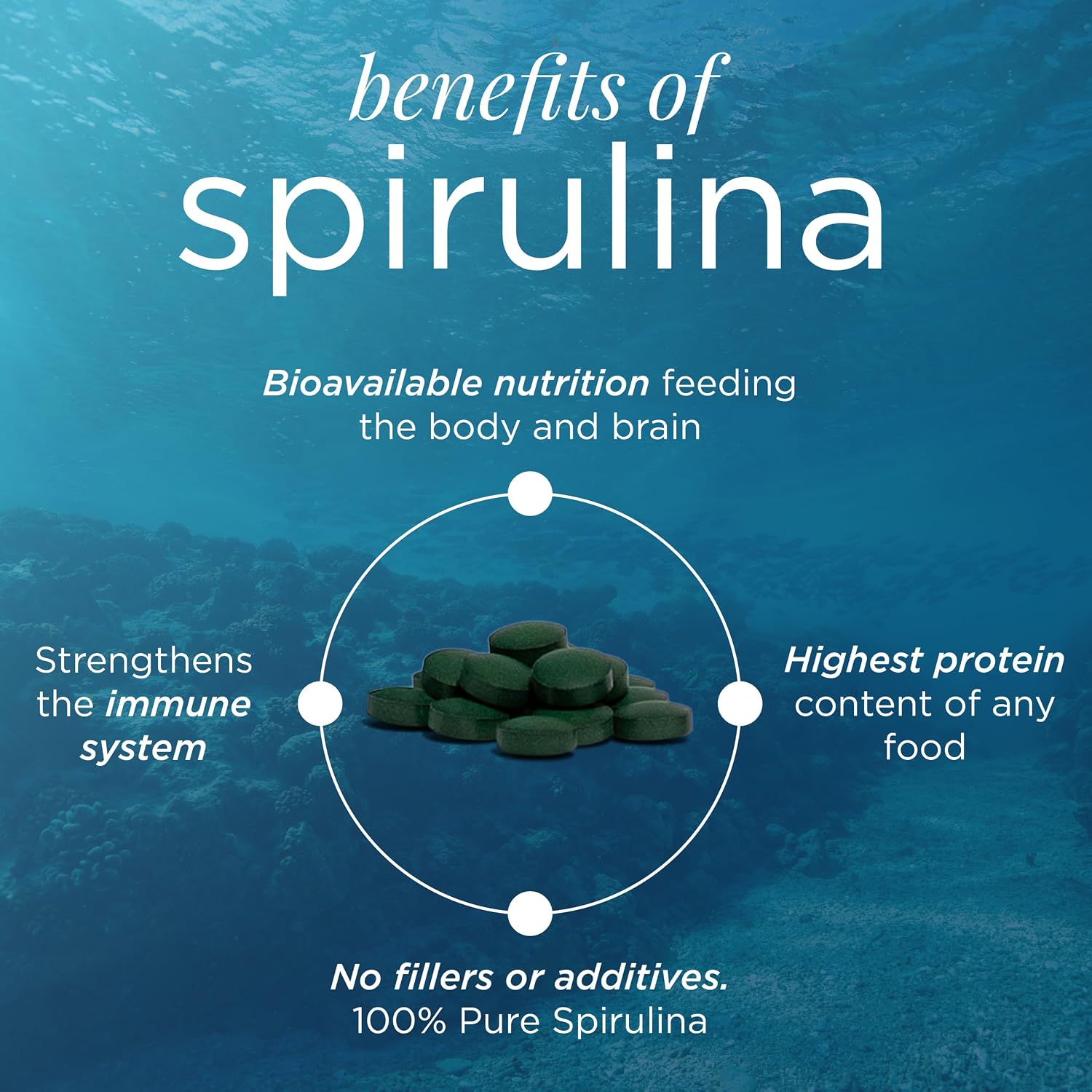 VITALITYbits Spirulina Chlorella Tablets, Organic Algae Blend, 1000 Tablets