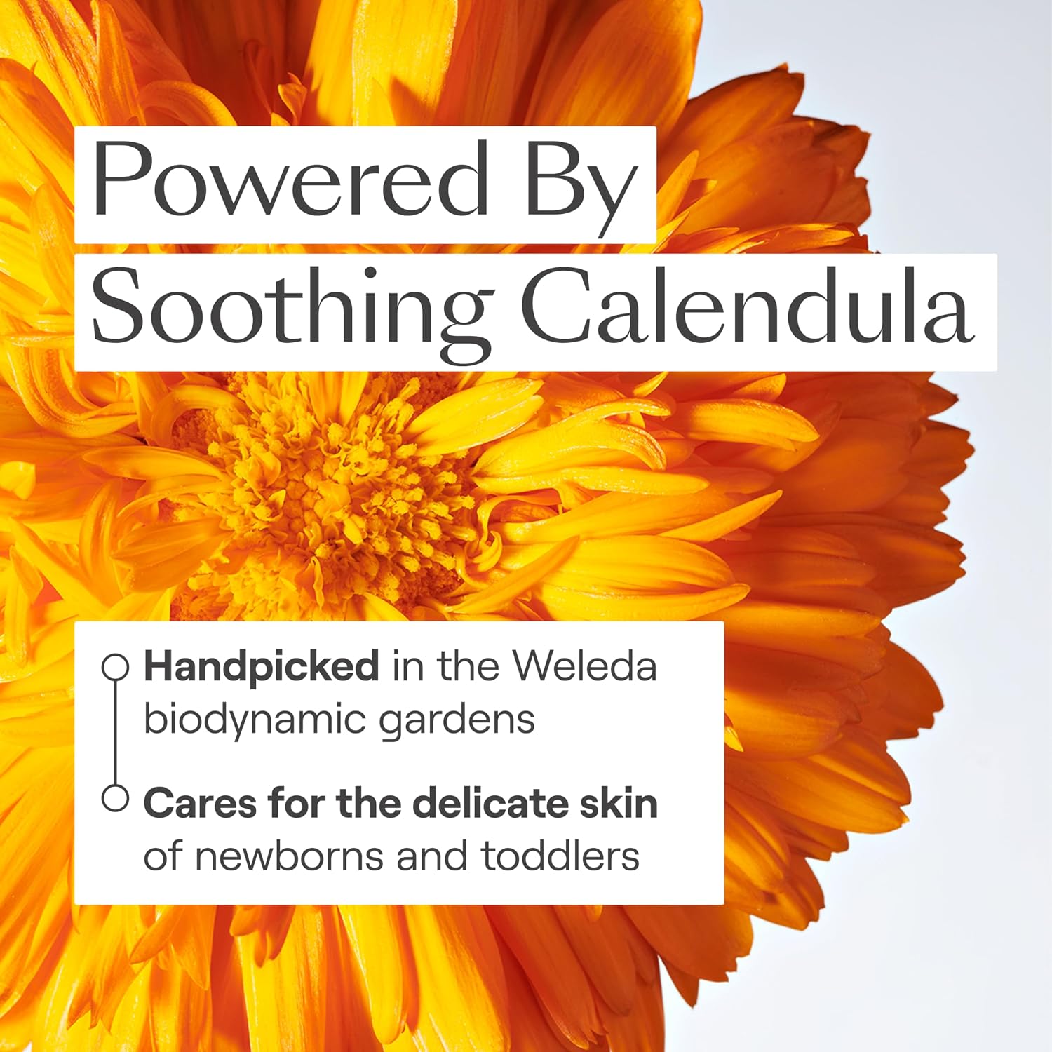 Weleda Baby Calendula Body Lotion and Shampoo-Body Wash Bundle, 6.8 Fluid Ounce (Pack of 2), Plant Rich Baby Care with Calendula and Sweet Almond Oil
