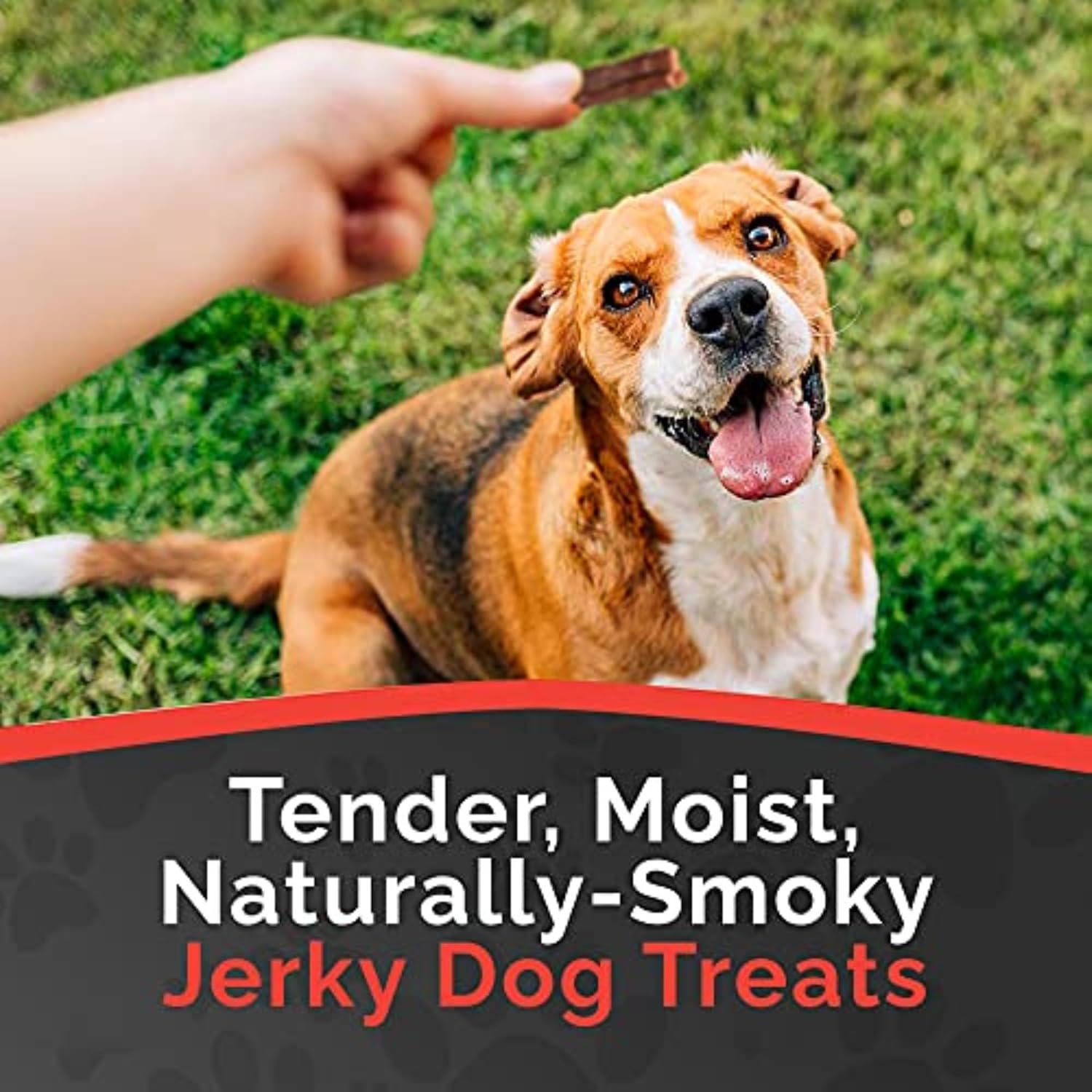 Miss Nelly's- All Natural Beef Jerky Dog Treats Made in USA Only, 16 oz Bag