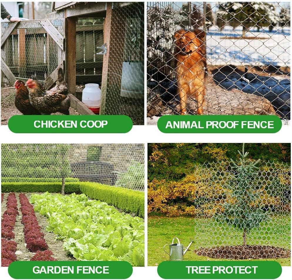 Amagabeli Chicken Wire Fencing Poultry Wire Netting 36inch x 50ft 2 Inch Hexagonal Galvanized Mesh Garden Fence Animal Barrier for Garden Protection Craft Rabbit Cage Dog Roll Chicken Coop Accessories