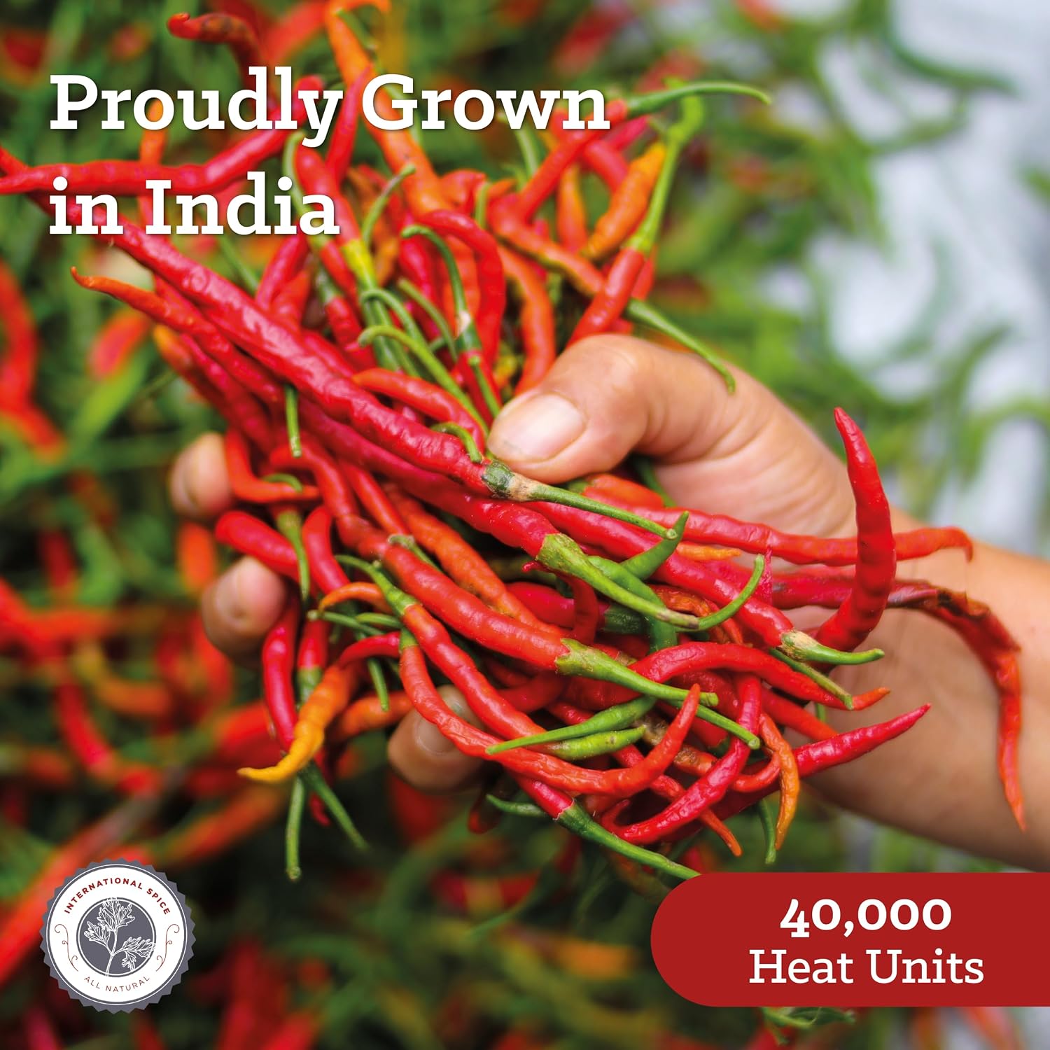 Cayenne Pepper 10 lb by International Spice