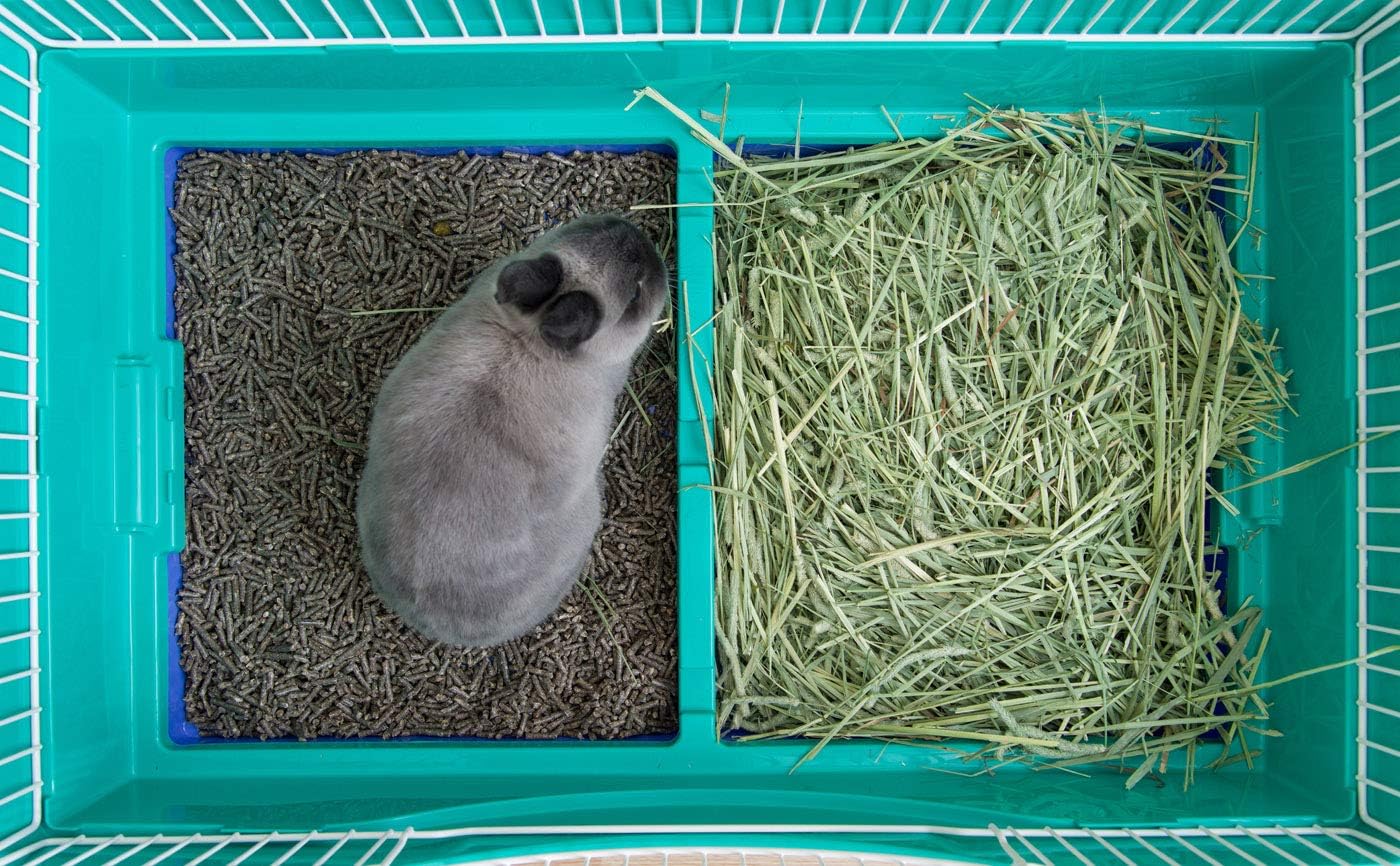 IRIS USA Large Portable Wire Rabbit Cage with Top Access and Two Tray Division