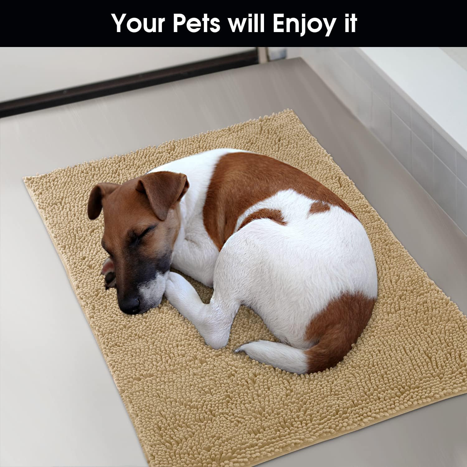 HOMEIDEAS Dog Door Mat for Muddy Paws 30x20, Absorbs Moisture and Dirt, Non-Slip Washable Doormat, Soft Chenille Mud Mat for Dogs