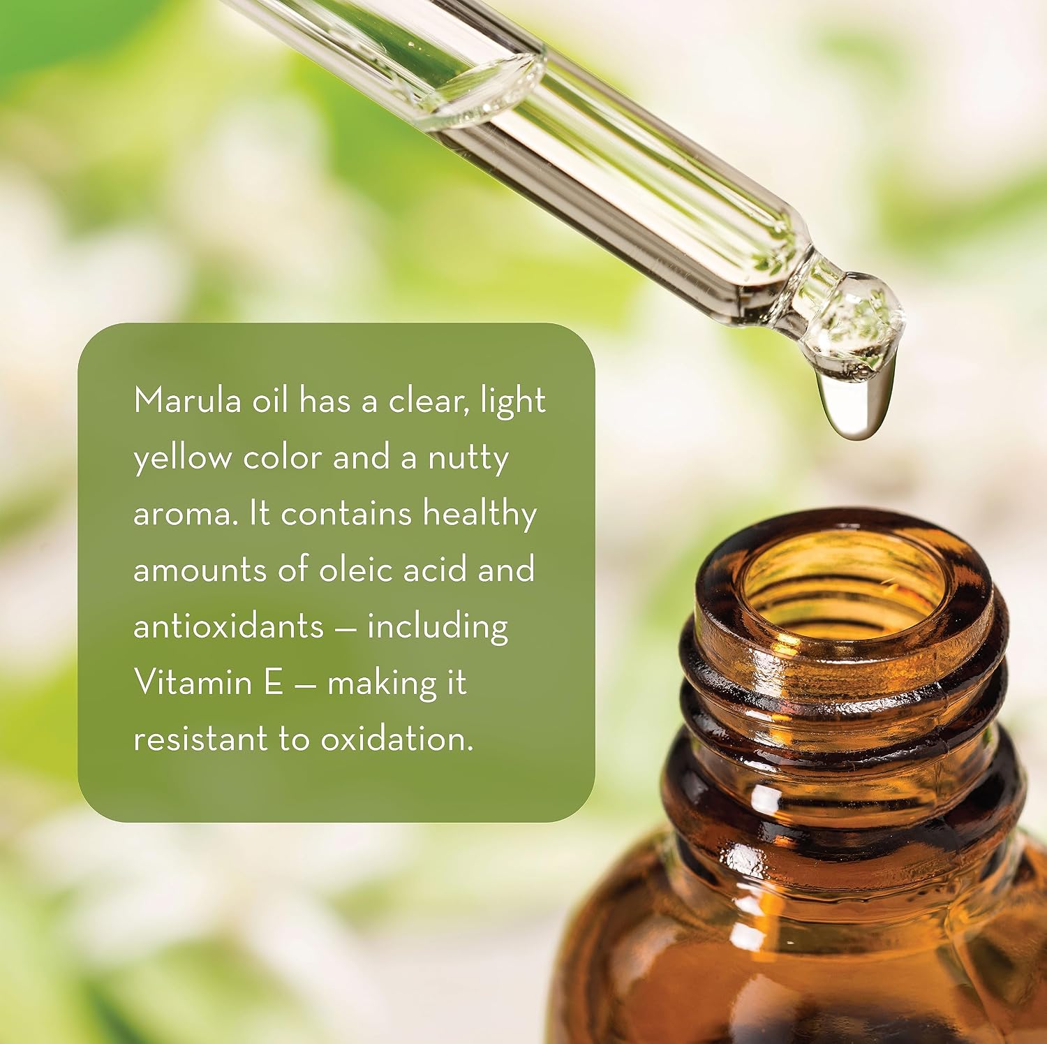 Marula Oil for Face, Hair & Skin, Cold Pressed & Pure, 1 fl oz