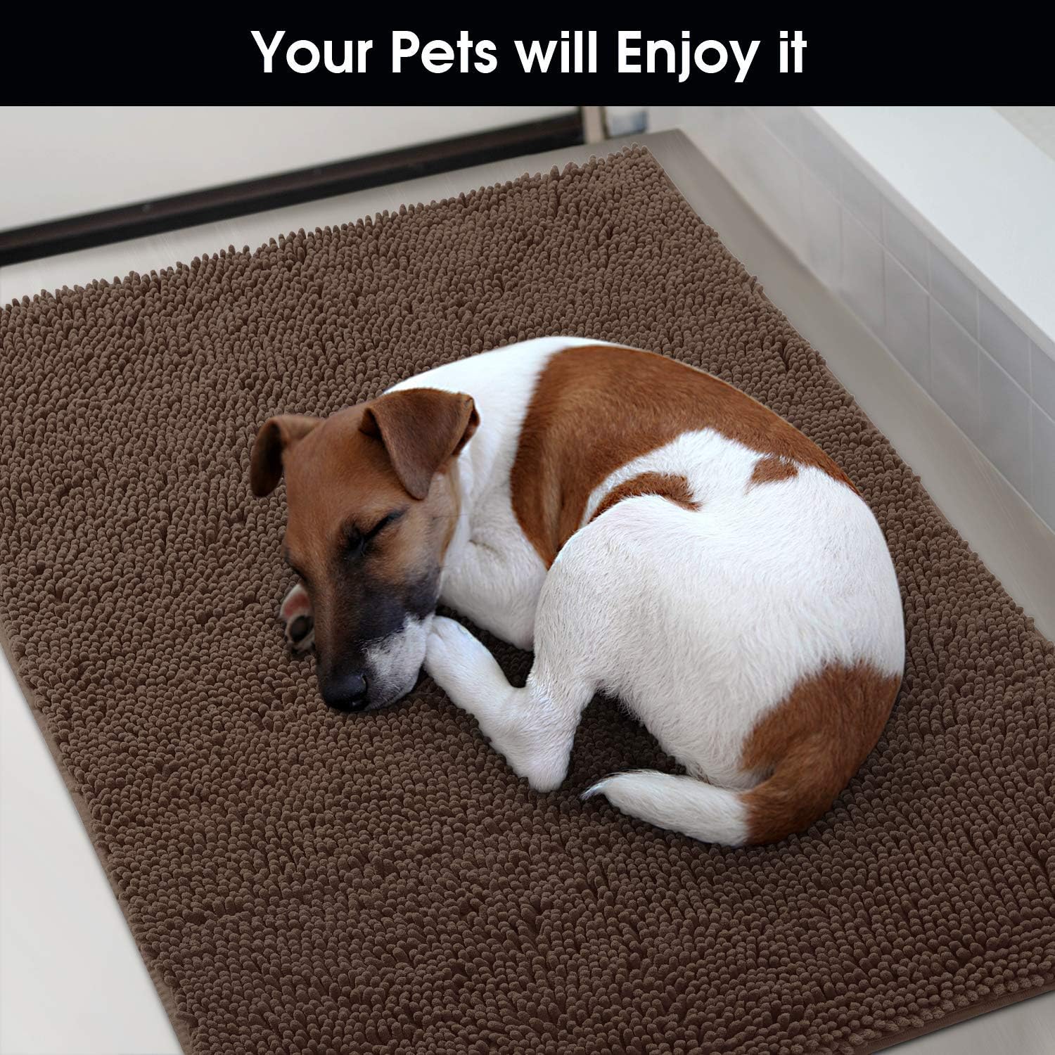 HOMEIDEAS Dog Door Mat for Muddy Paws 30x20, Absorbs Moisture and Dirt, Non-Slip Washable Doormat, Soft Chenille Mud Mat for Dogs