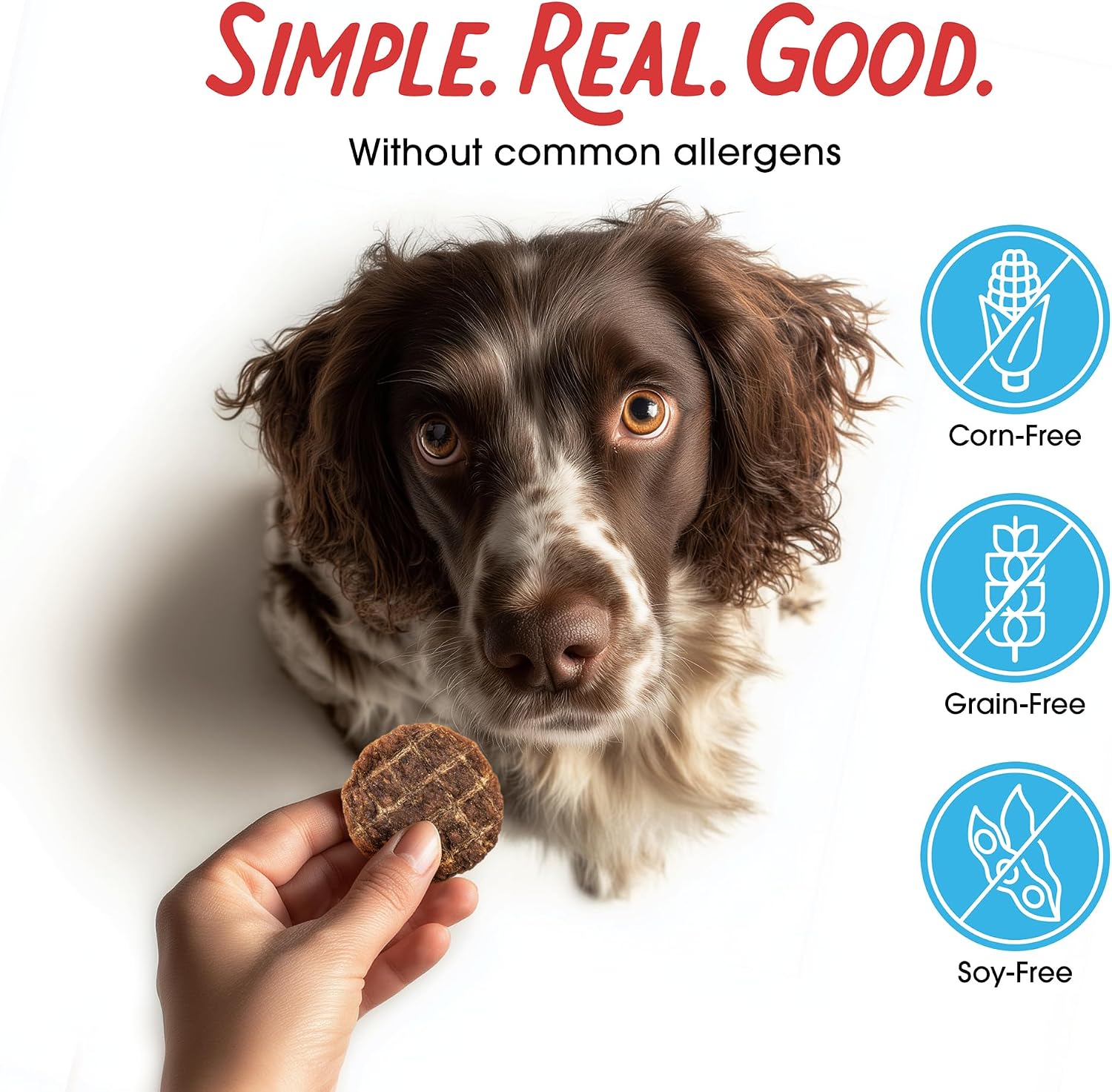Farmland Traditions Filler Free Dogs Love Chicken Premium Jerky Treats for Dogs, 3 lb. Bag