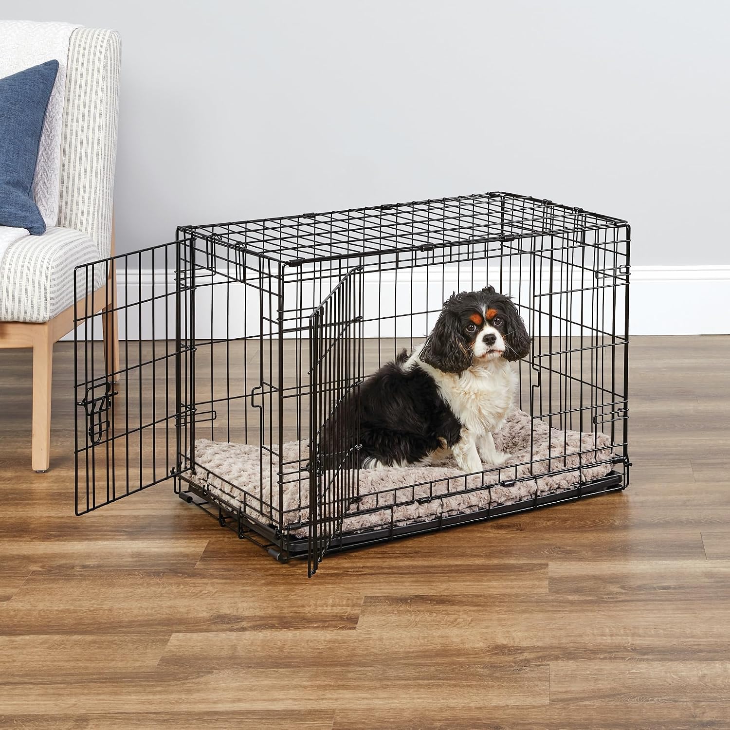 Midwest Homes for Pets 24-Inch New World Crate for Small Breeds, 12-20 lbs, Double Door Folding Dog Crate, Leak-Proof Tray & Secure Latches, Portable, Durable & Easy to Assemble
