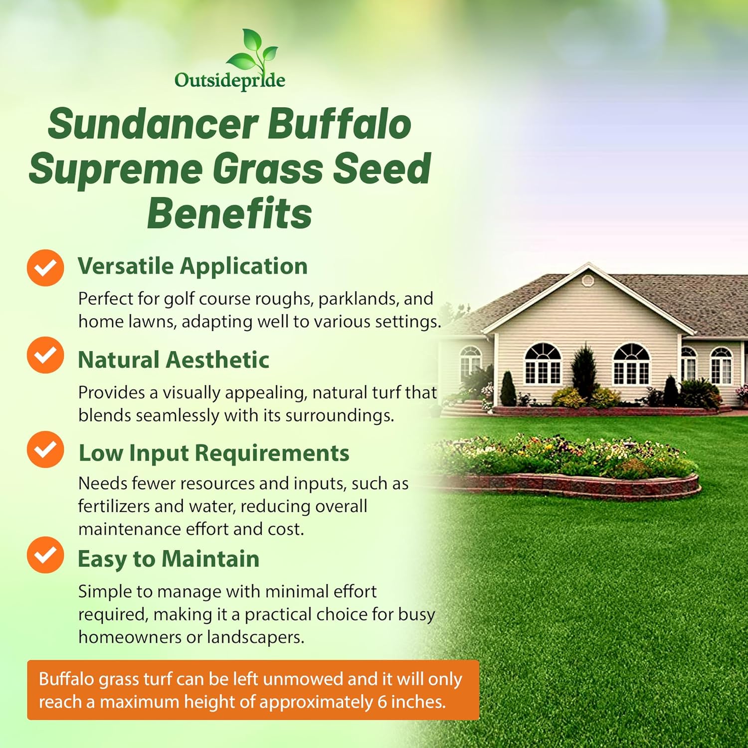 Outsidepride Perennial Buffalo Grass Seed - 2 lbs Heat & Drought Tolerant, Low Maintenance, Warm Season Dense Turf Grass Seed for Lawn, Xeriscape Landscaping, & Roadside Planting