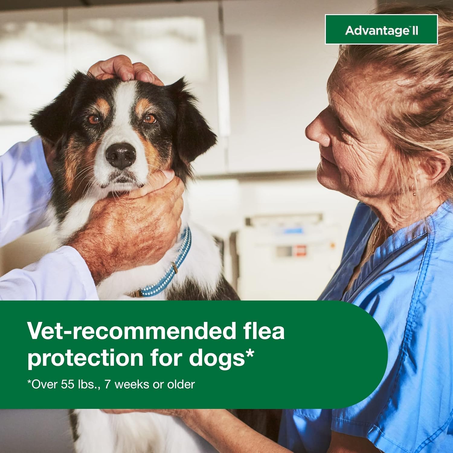 Advantage II Large Dog Vet-Recommended Flea Treatment & Prevention | Dogs 21-55 lbs. | 4-Month Supply