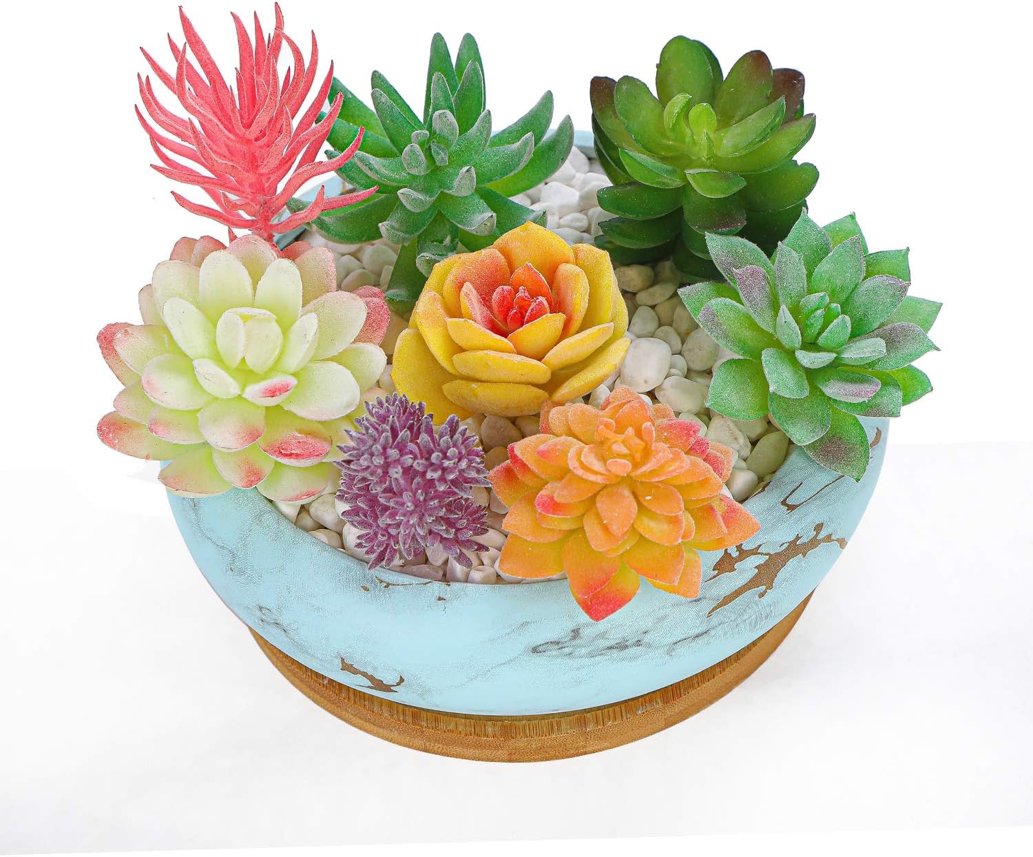 Succulent Pots, 7.3'' Large Bonsai Pots with Tray, Shallow Planters