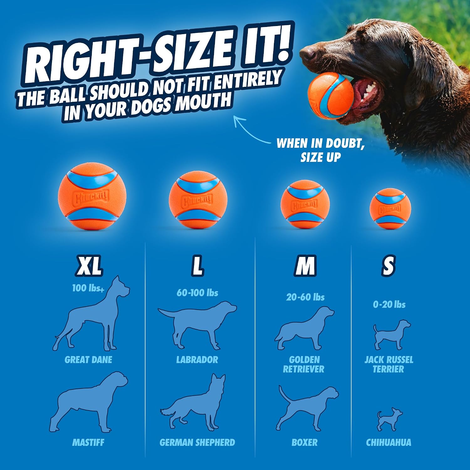 Chuckit! Fetch Pack Dog Balls - Interactive Dog Toys, High-Bounce Fetch Ball, Floating Ultra and Rugged Balls, Durable - Size Small, 2-inch Diameter, Set of 3
