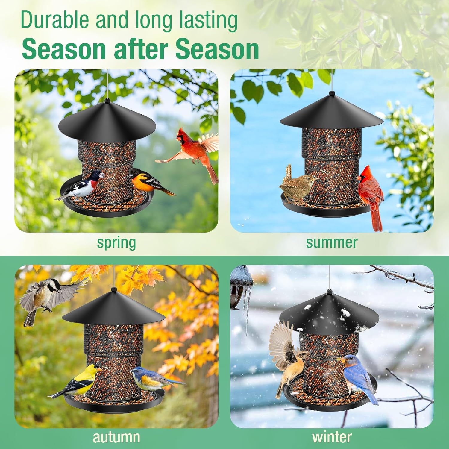 Bird Feeder for Outdoor Hanging