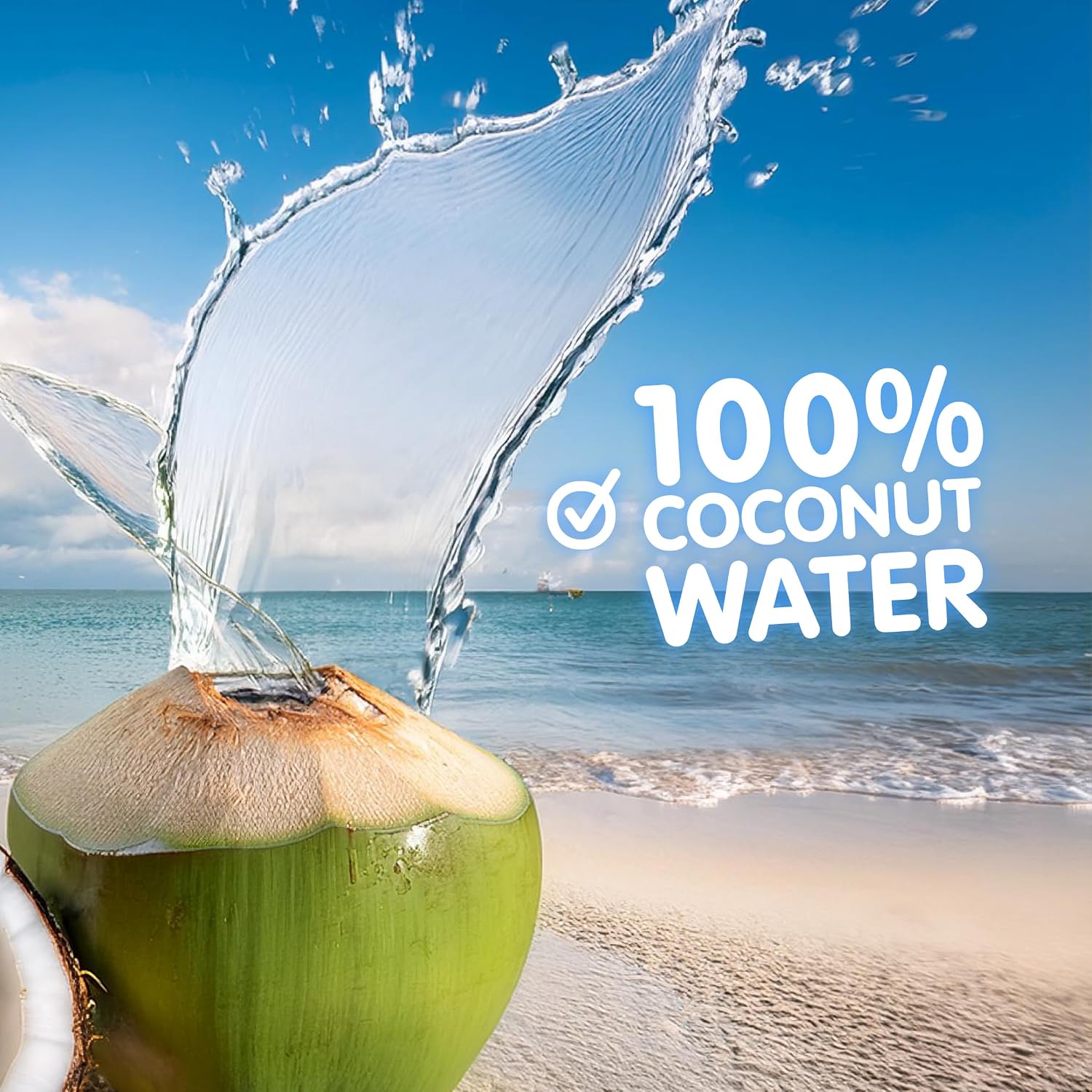 Jans 100% Coconut Water With Pulp, Unsweetened, 16.57 Fl Oz, Pack of 12