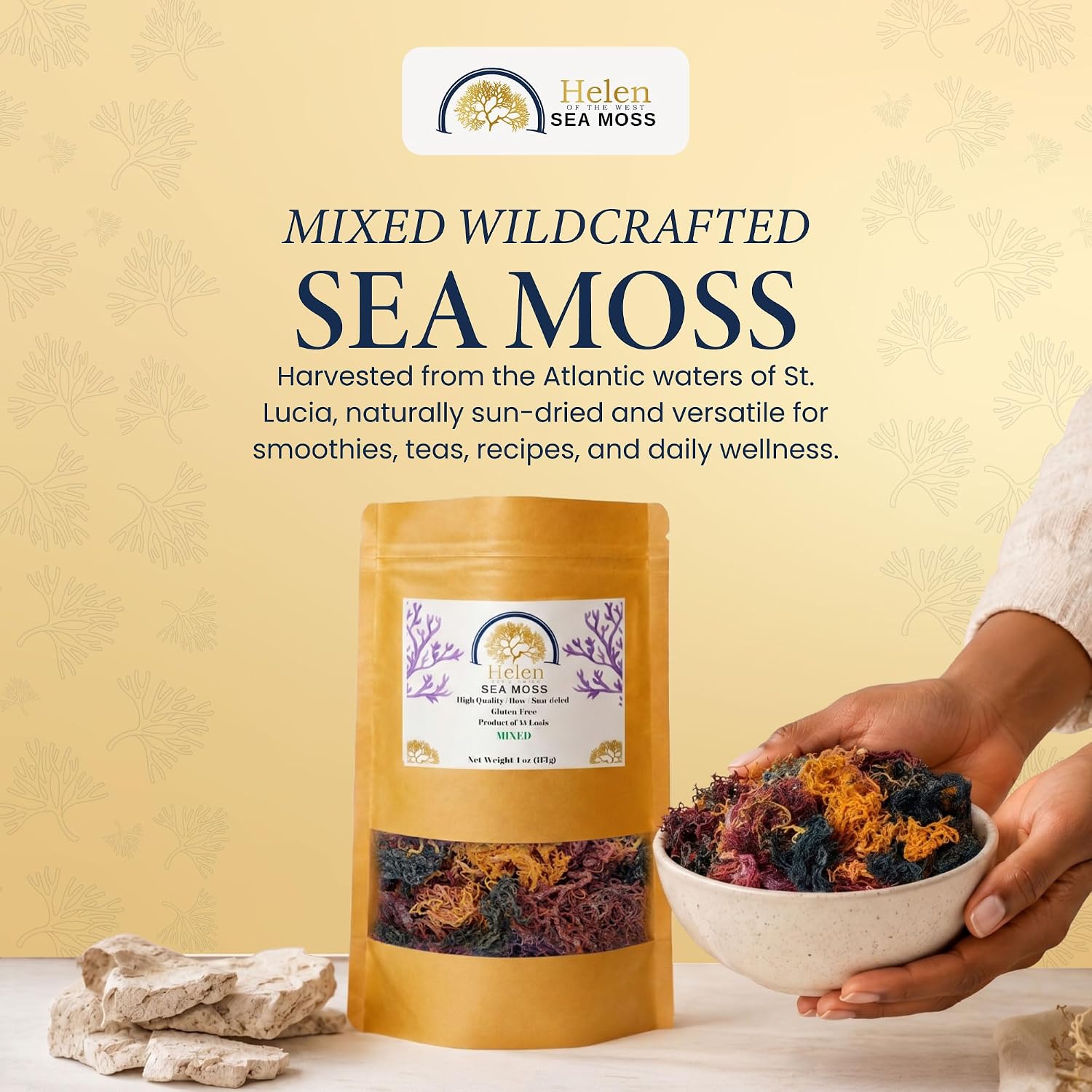 Wildcrafted Sea Moss | Gold - Purple - Green - Mixed | 100% Natural Irish Moss from St.Lucia | Mineral-Rich Superfood | 8oz Sun-Dried Moss | NO