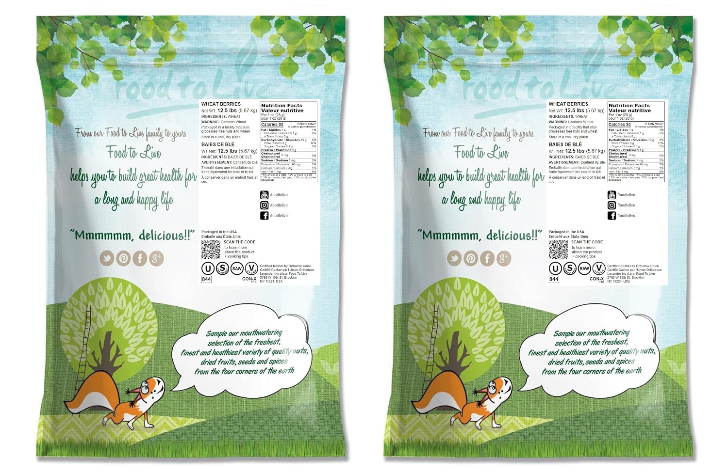 Food to Live Hard Red Wheat Berries, 3 Pounds – Sprouting for Wheatgrass, Kosher, Raw, Vegan, Bulk