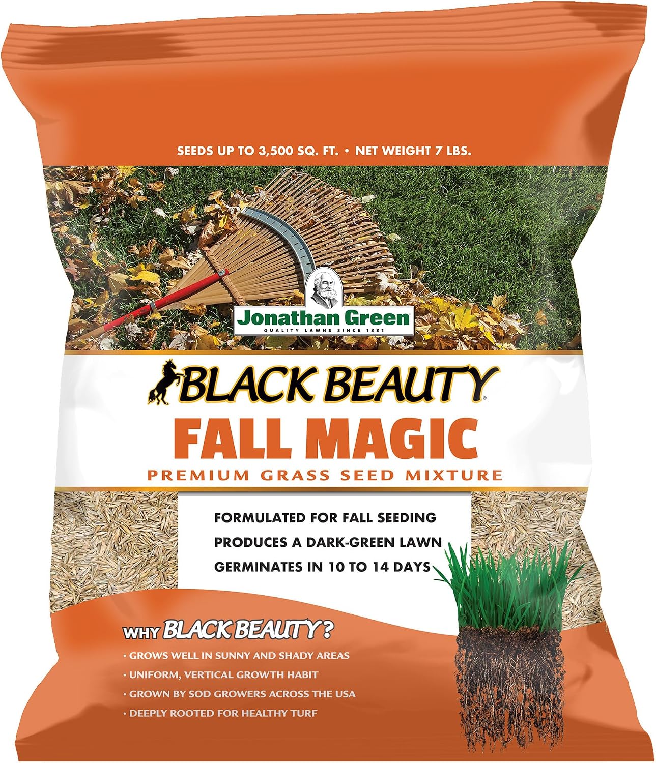 Jonathan Green (10765) Black Beauty Fall Magic Grass Seed - Cool Season Lawn Seed (3 lb)
