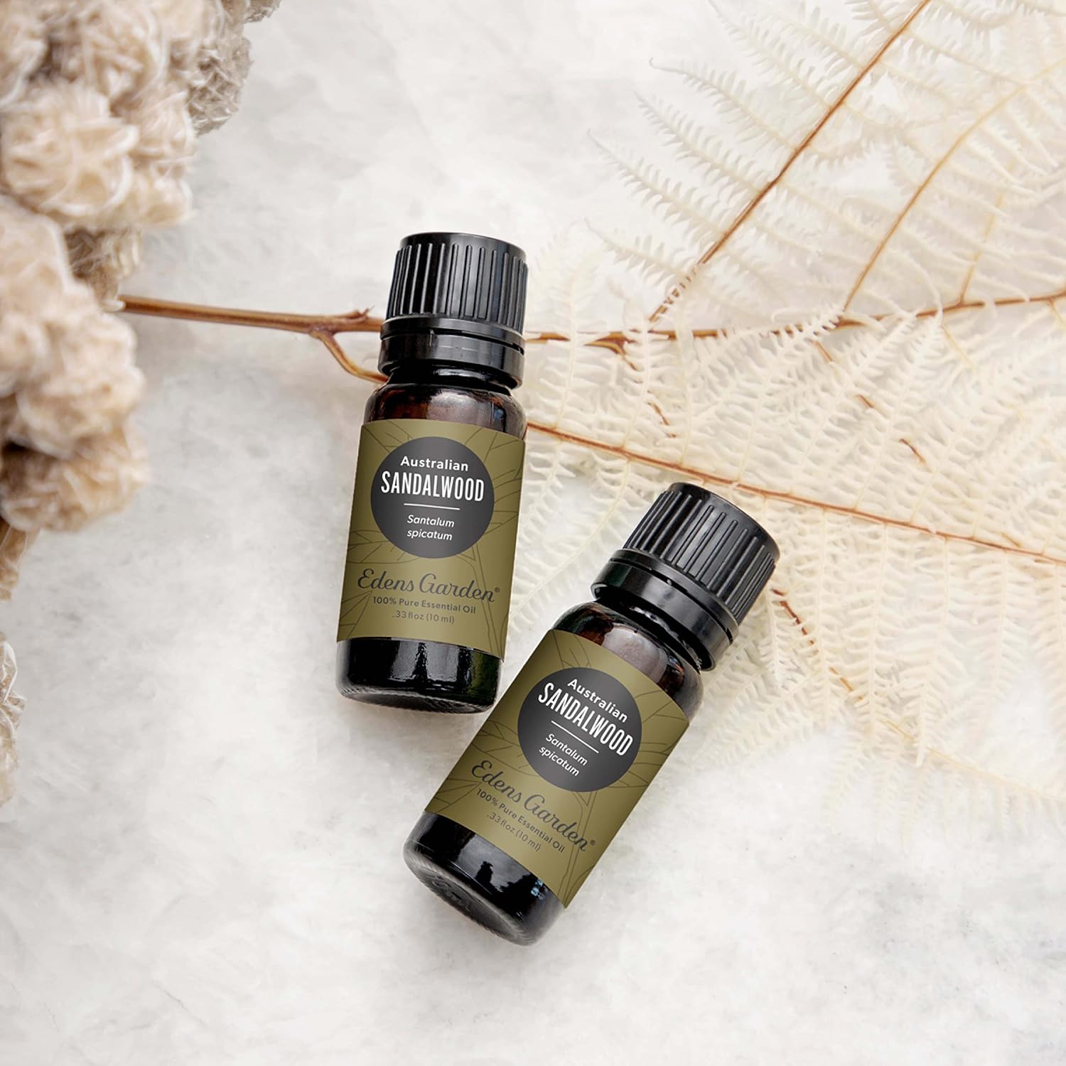 Edens Garden Cedarwood-Texas Essential Oil- 100% Pure 10 ml (.33 fl oz)