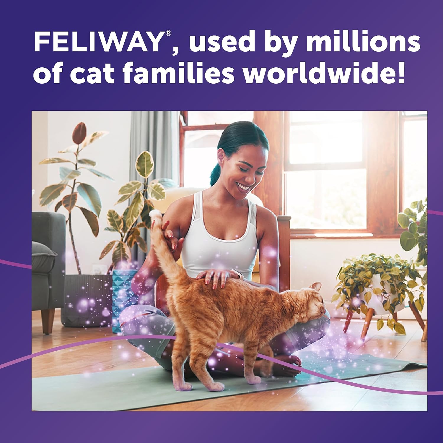 FELIWAY Classic Cat Calming Spray, 60ml | Comforts Cats at Home and On the Go and Helps to Calm During Travel
