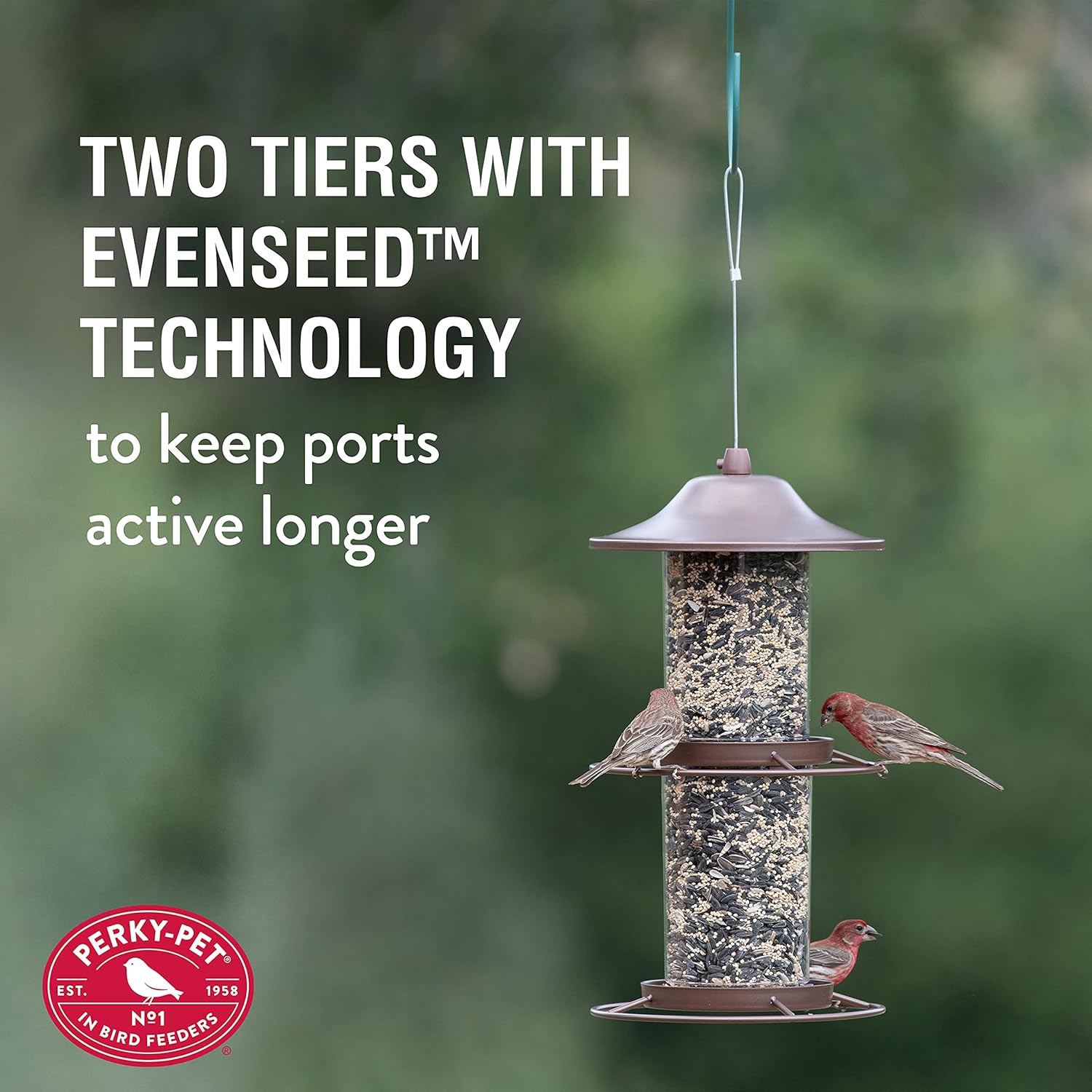 Perky-Pet Large 2-Tier Panorama Wild Bird Outdoor Feeder with Hanging Hook - 325SCOMBO-1SR - 4.5 lb Seed Capacity - Durable Construction - Versatile
