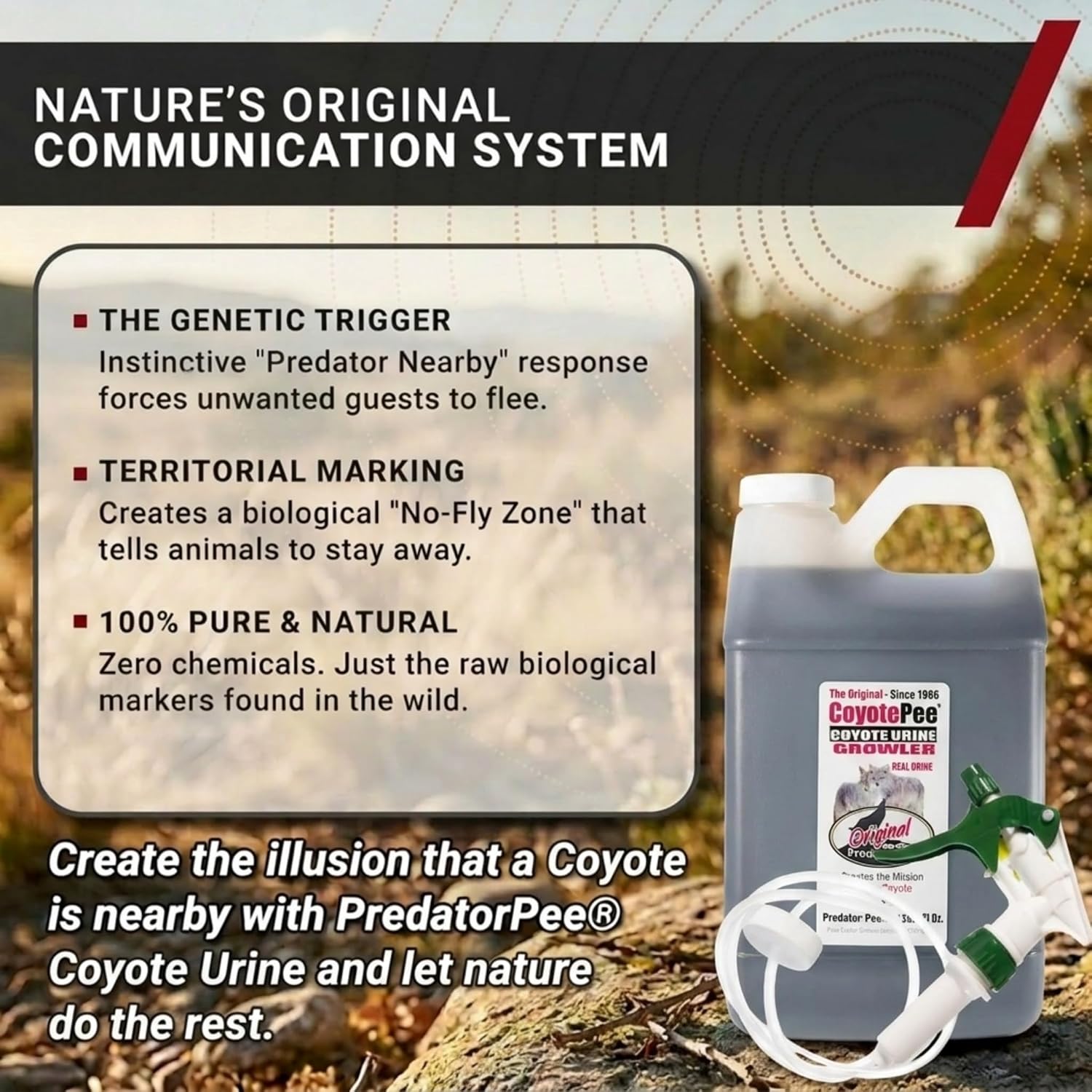 PredatorPee 100% Coyote Urine Natural Predator Scent Made in USA