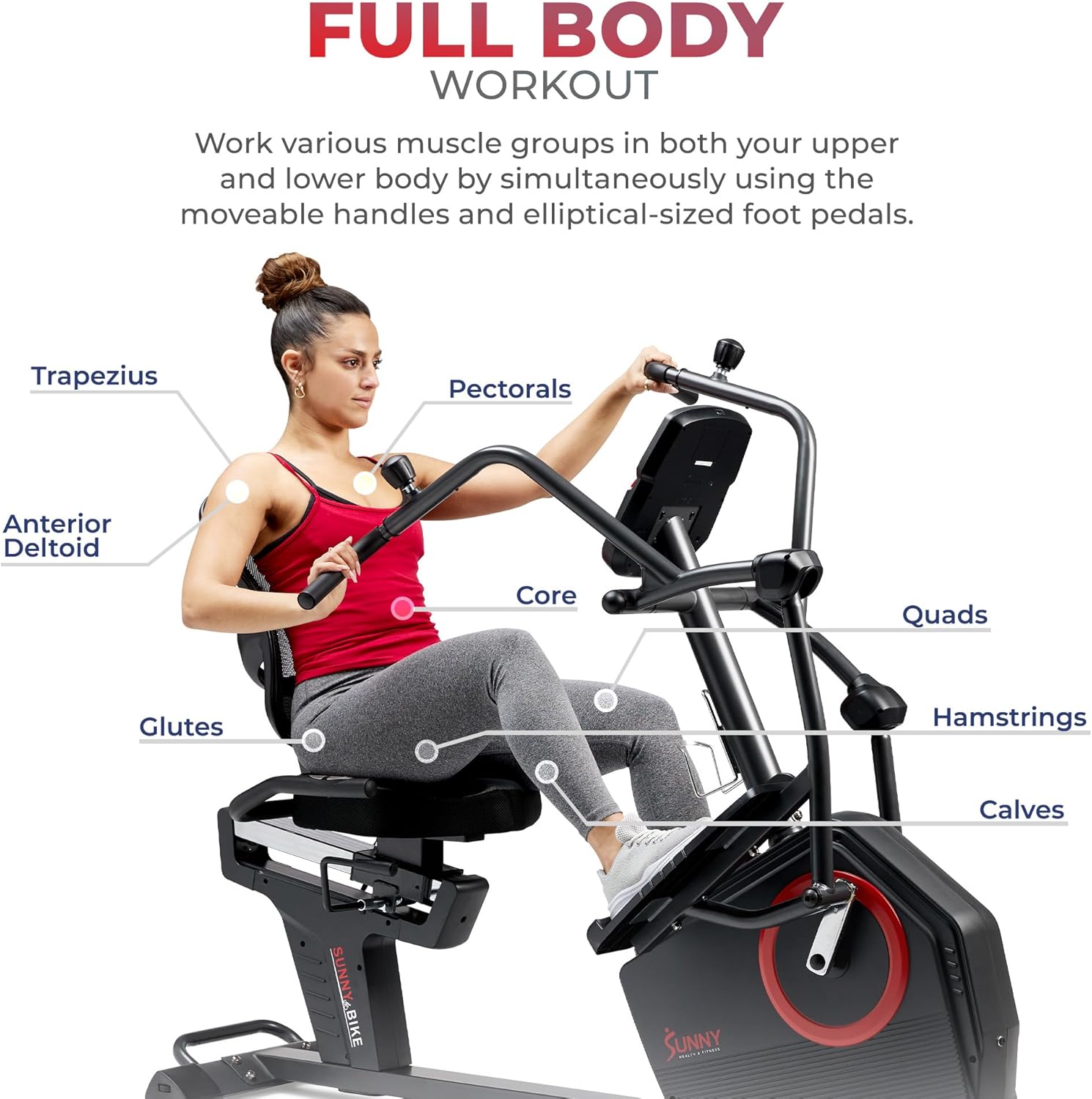 Sunny Health & Fitness Elite Recumbent Cross Trainer & Elliptical Machine with Arm Exercisers for Home Arm/Leg Training