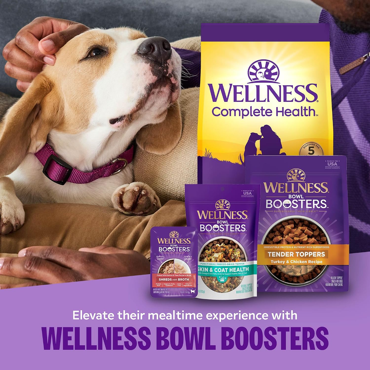 Wellness Complete Health Puppy Dry Dog Food, Grain Free Kibble, Natural, Chicken and Salmon Recipe, 24 lb Bag