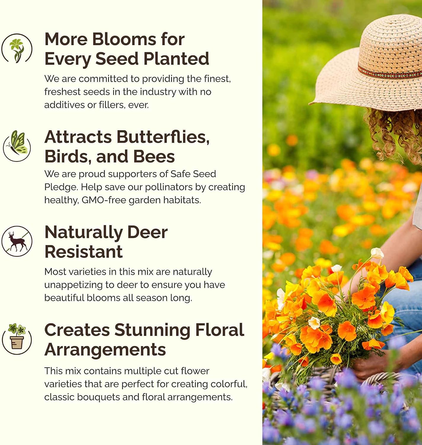 Eden Brothers All Perennial Wildflower Mixed Seeds for Planting, 1 lb, 480,000+ Seeds with Lupine, Shasta Daisy | Attracts Pollinators, Plant in Spring or Fall, Zones 3, 4, 5, 6, 7, 8, 9, 10
