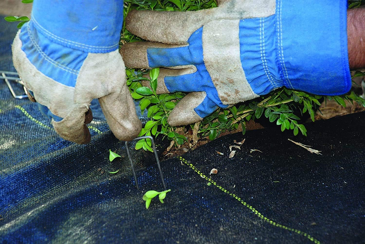 Dewitt Pro-5 Weed Barrier Fabric 5 oz, 6 x 250 Feet – Heavy-Duty | Woven Landscape Ground Cover Mat for Raised Garden Bed, Greenhouse Gardening, Outdoor Landscaping, and Commercial Planting