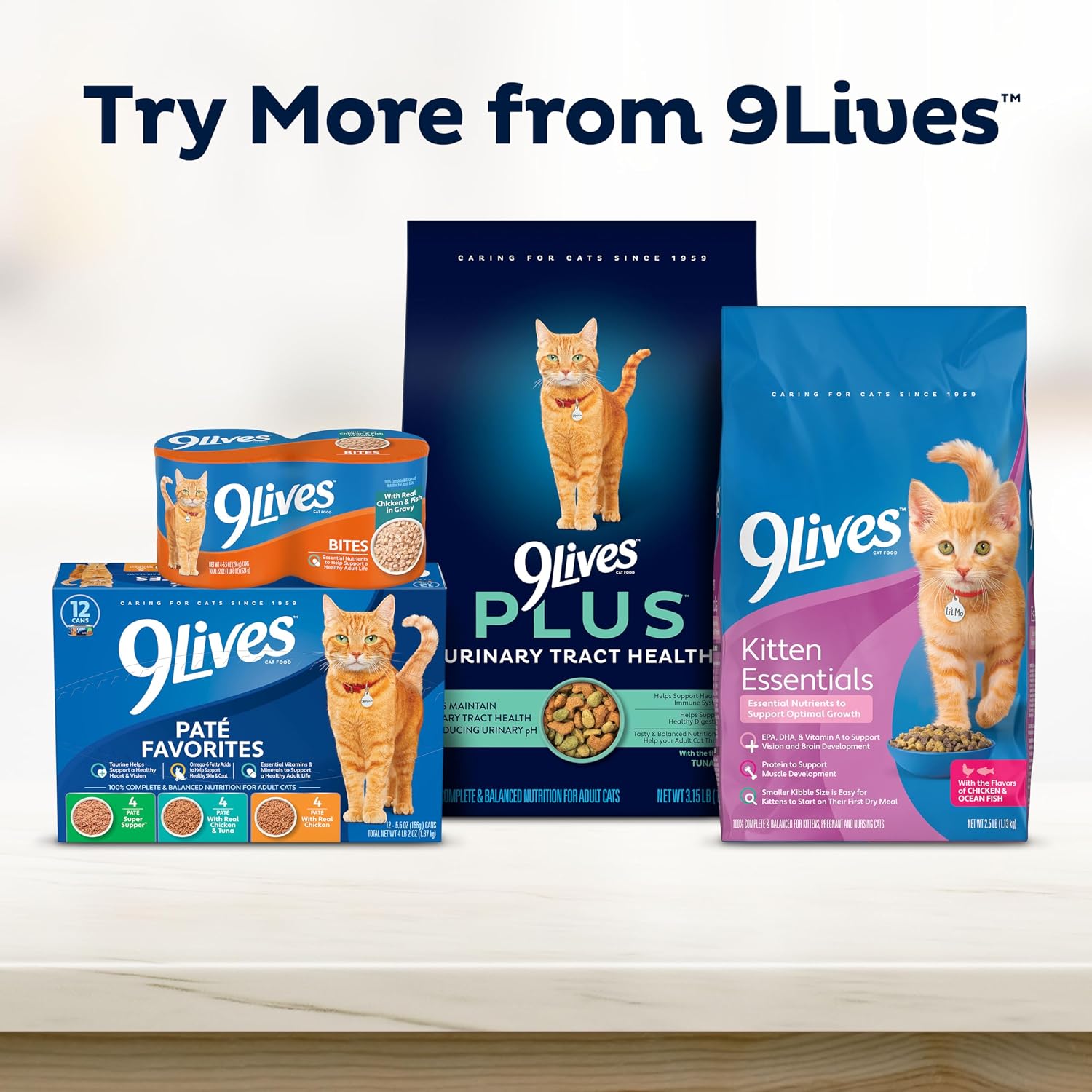 9Lives Indoor Essentials Dry Cat Food with Chicken & Salmon, 12 lb. Bag | 100% Complete & Balanced Nutrition For Indoor Adult Cats With Lean Protein & Fiber To Help Support A Healthy Weight
