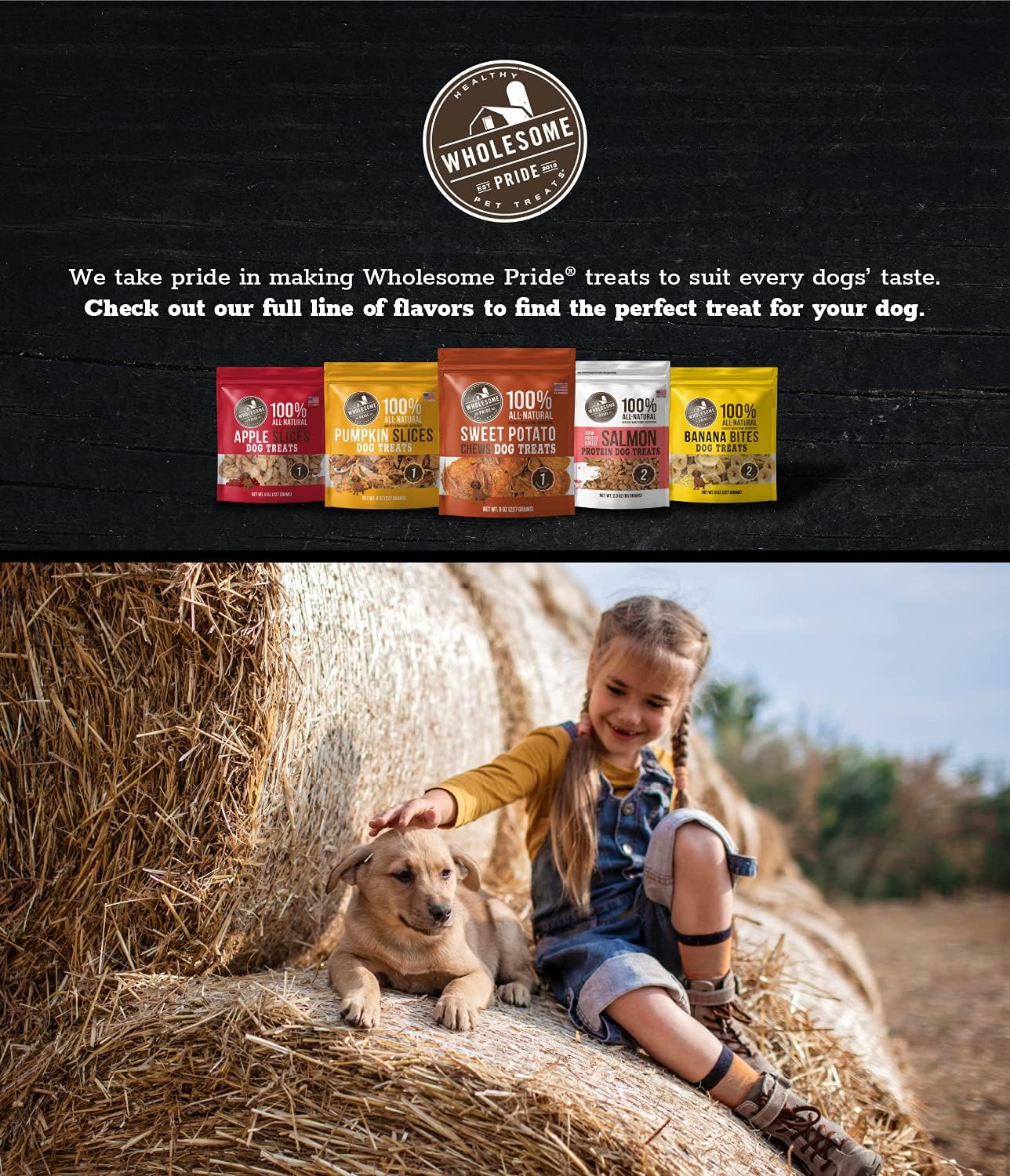 Wholesome Pride Banana Bites Dog Treats – 2-Ingredient Banana Chips for Dogs, Grain-Free, Banana & Coconut Oil, 8 oz