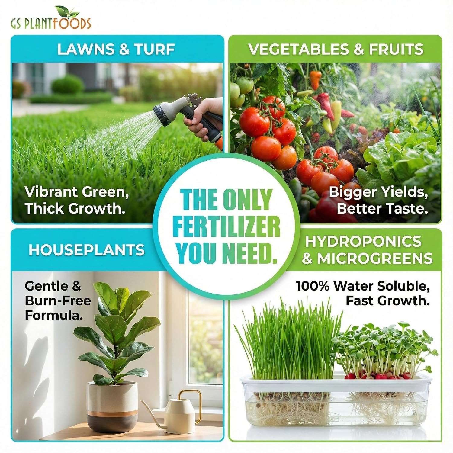 Ocean Magic Sea Mineral Fertilizer by GS Plant Foods(1 Gallon) - Soil Mineral Health Improvement Liquid Concentrate - Sea Minerals for Lawn and Turf, Gardens & House Plants