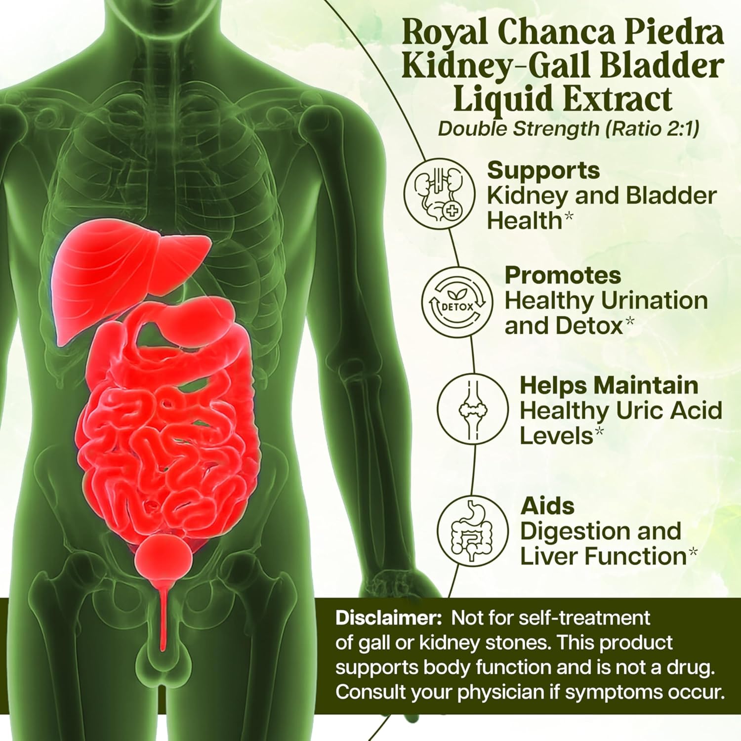 Whole World Botanicals Royal Chanca Piedra Herbal Supplement – Traditional Amazon Herb (Liquid 2 Oz, Kidney Bladder Support)