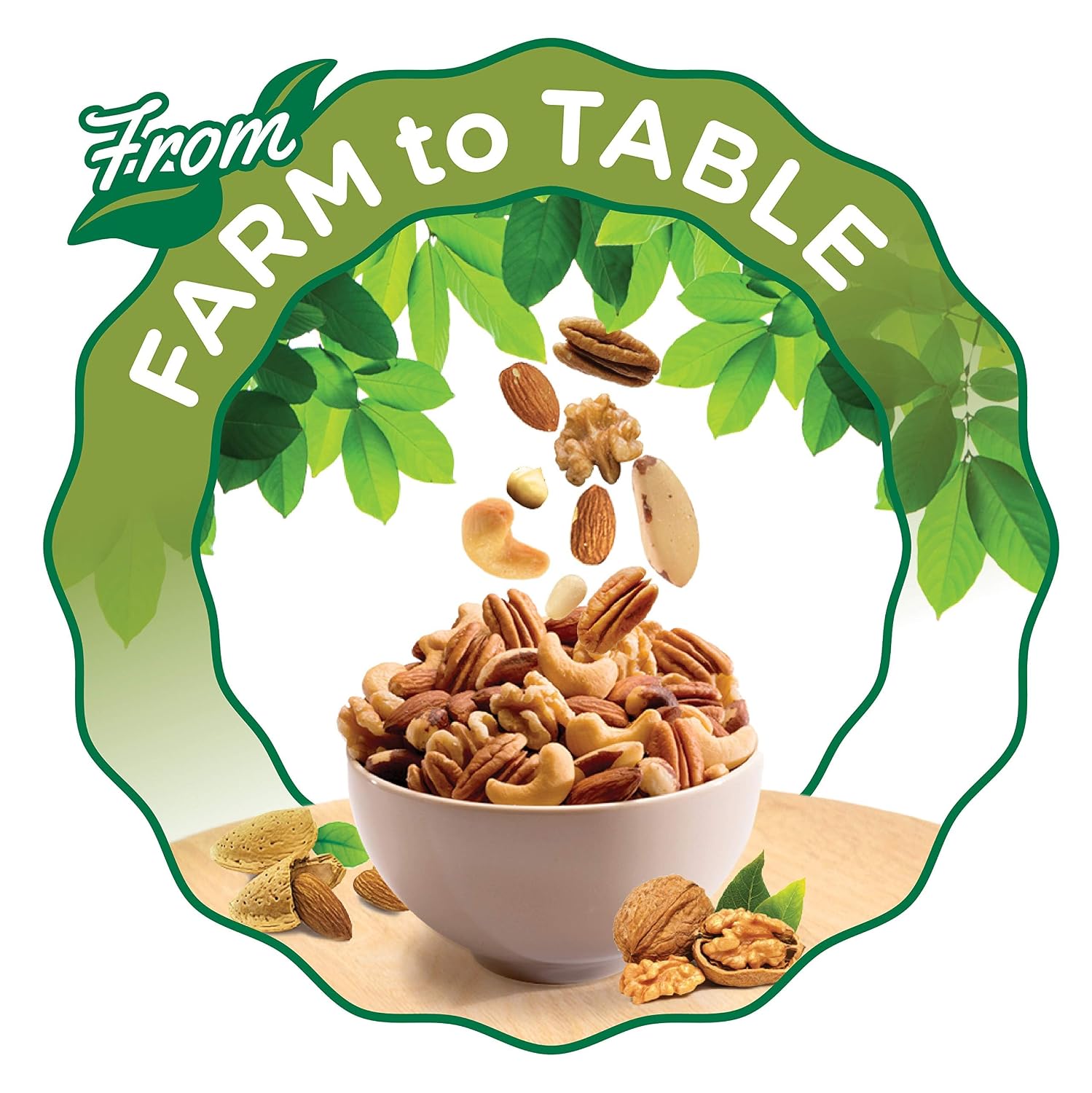 Fisher Snack Glazed Pecans Candied, 24 oz, Pack of 1 | Junior Mammoth Candied Pecans, Perfect For Gifting Or Personal Enjoyment, Crunchy, Irresistibly Sweet