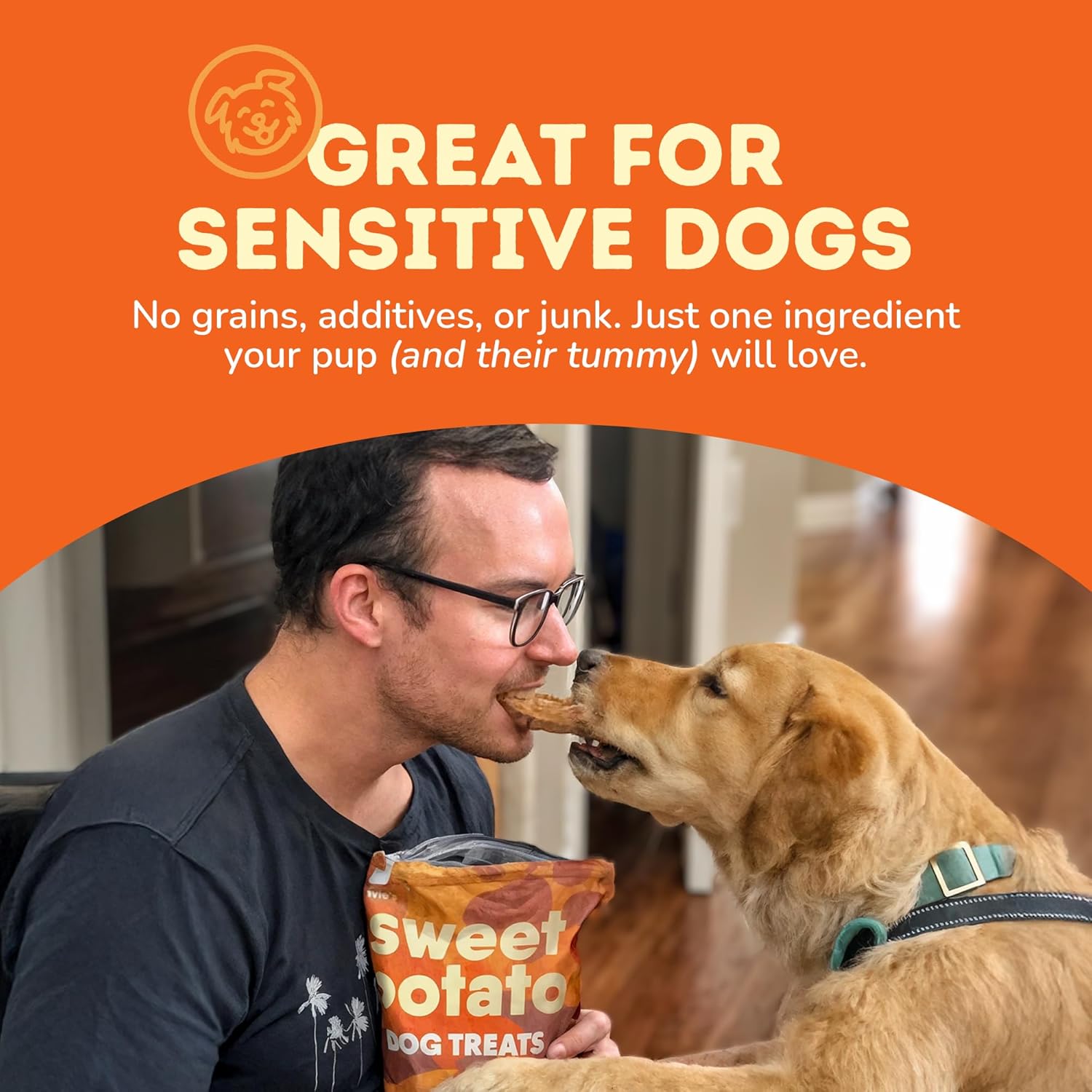 Davie's Sweet Potato Dog Treats - Natural Dog Chews, 1 lb.