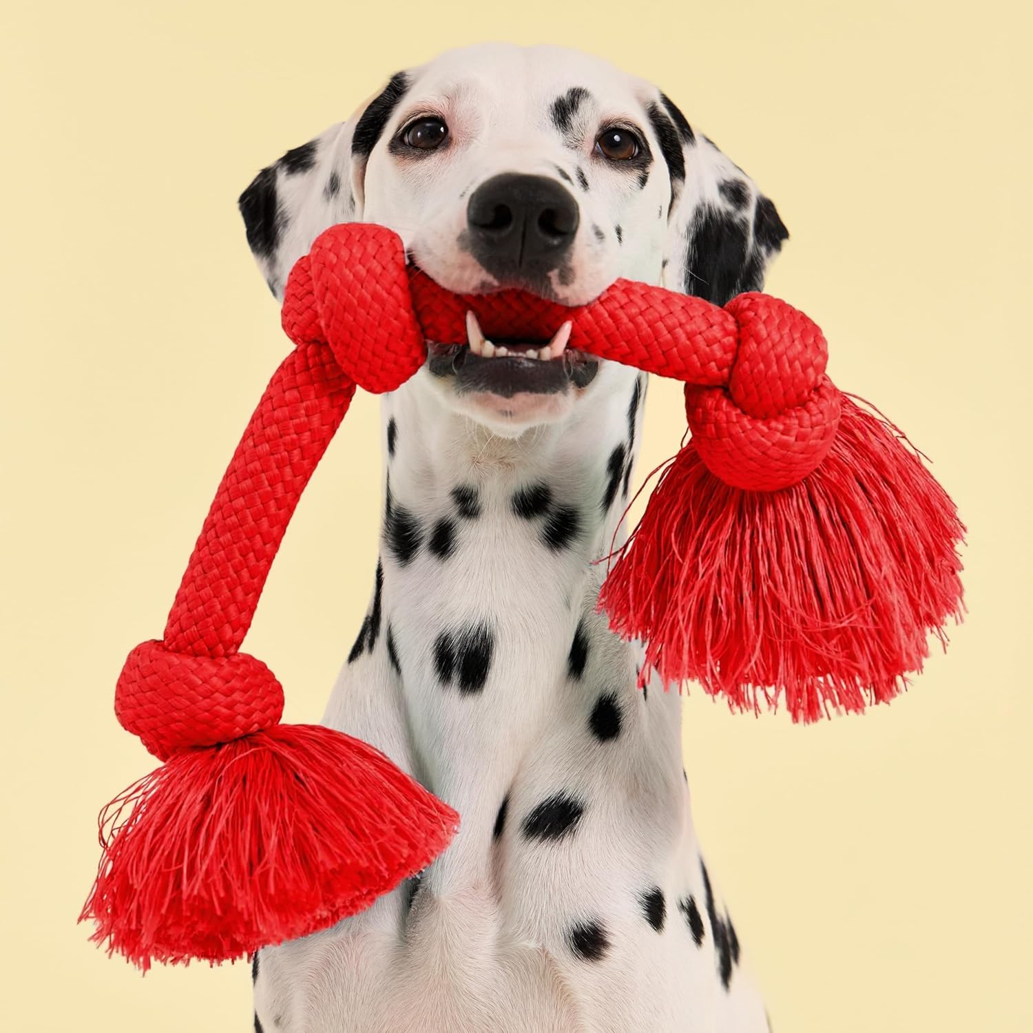 Playology Tug Rope Dog Toys for Large Breed Dogs - Jumbo, Beef Scent