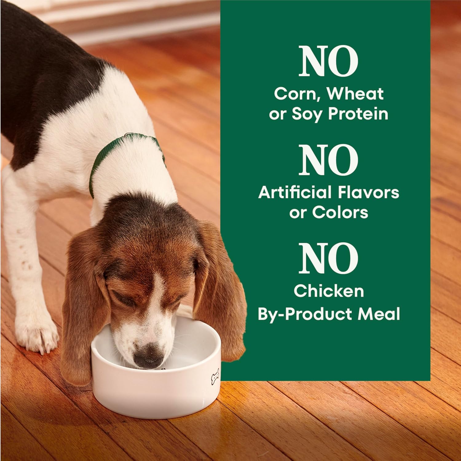 Nutro Natural Choice Puppy Dry Dog Food, Chicken & Brown Rice, 5 lb | Real chicken #1 ingredient, supports brain & eye development, healthy bones & muscles, non-GMO, made in USA