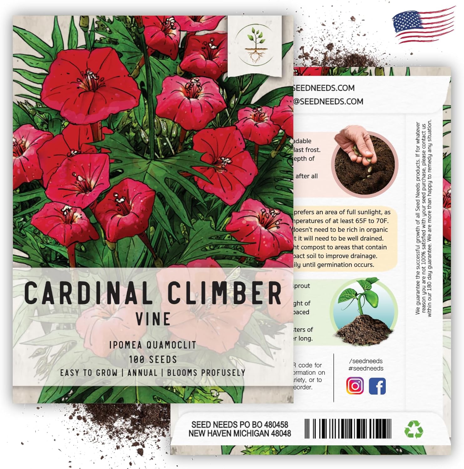 Seed Needs Cardinal Climber Seeds to Plant Red Flowering Vines 2 Packs