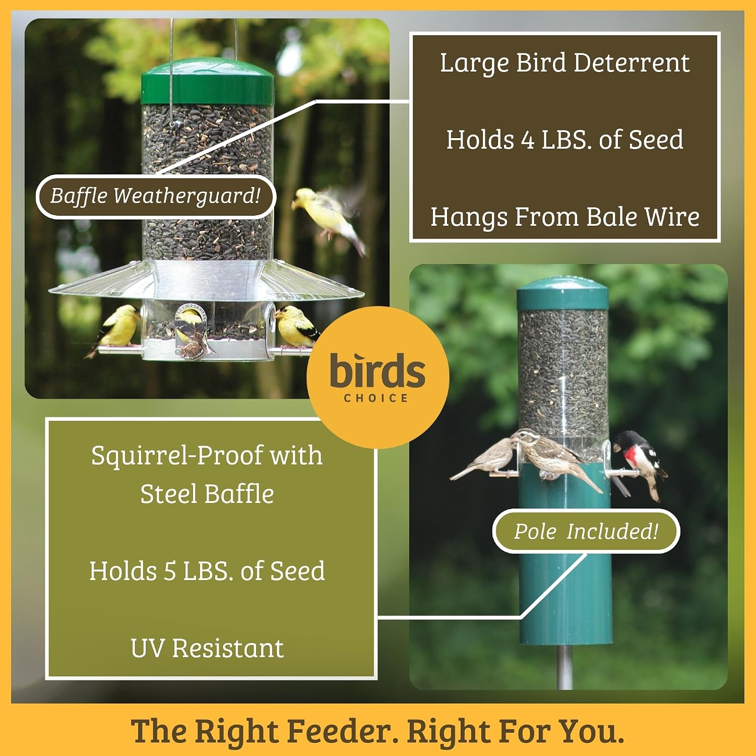 Birds Choice Classic Hanging Bird Feeder with Weatherguard Baffle | Squirrel Proof Bird Feeder for Cardinals, Chickadees