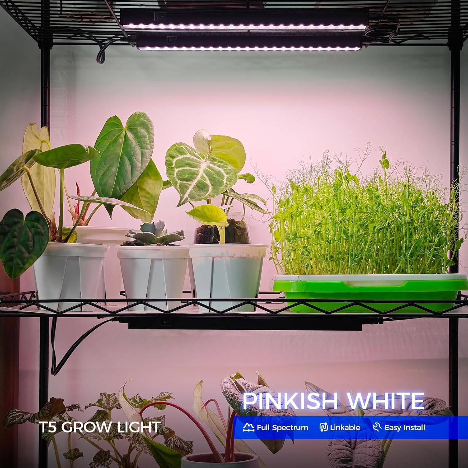 Barrina T5 Grow Lights for Indoor Plants, Full Spectrum, 2FT, 8 Packs
