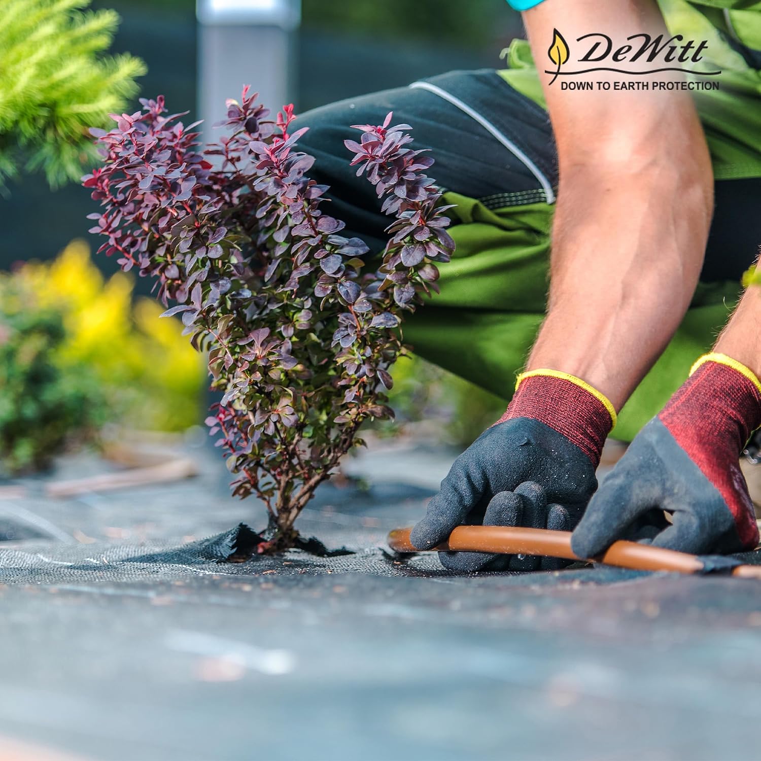 Dewitt Sunbelt Weed Barrier Fabric, 3.2 oz, 3 x 300 Feet – Heavy-Duty Ground Cover Mat for Greenhouse Floors, Garden Rows, Raised Beds, Grass and Yard Gardening, and Outdoor Landscape Protection | Ground Cover Mat for Greenhouse Floors, Garden Rows, Rais…