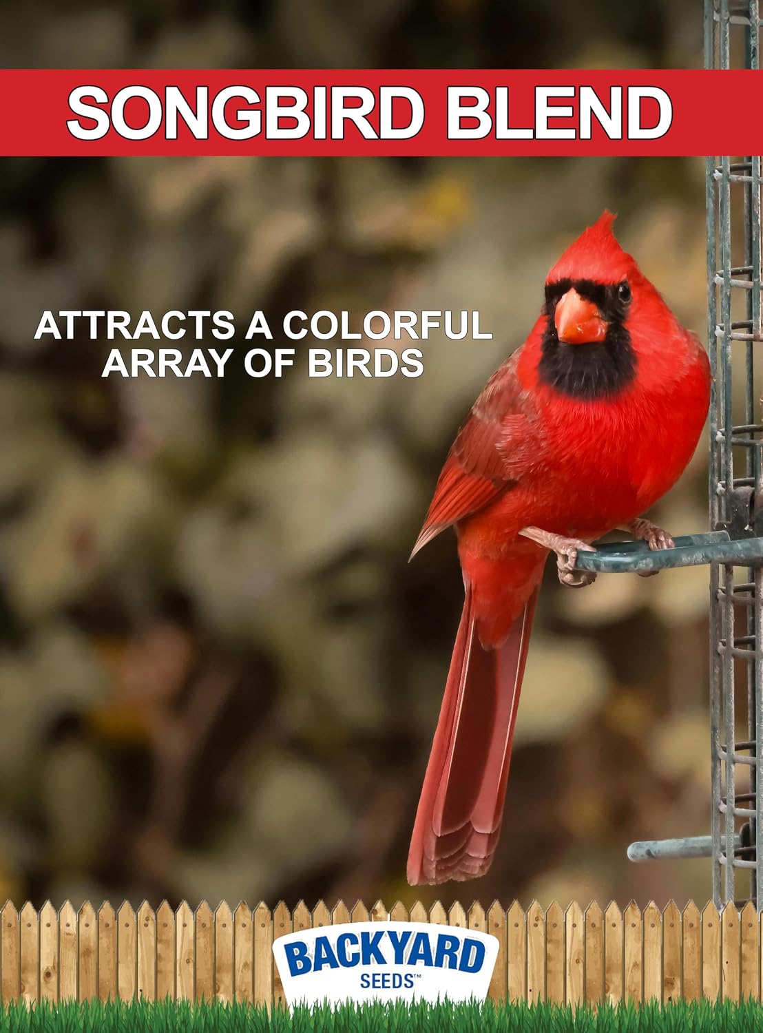 CountryMax Backyard Seeds Songbird Blend Mixed Bird Seed - Attracts Bluebirds, Cardinals, Chickadees (7 Pounds)