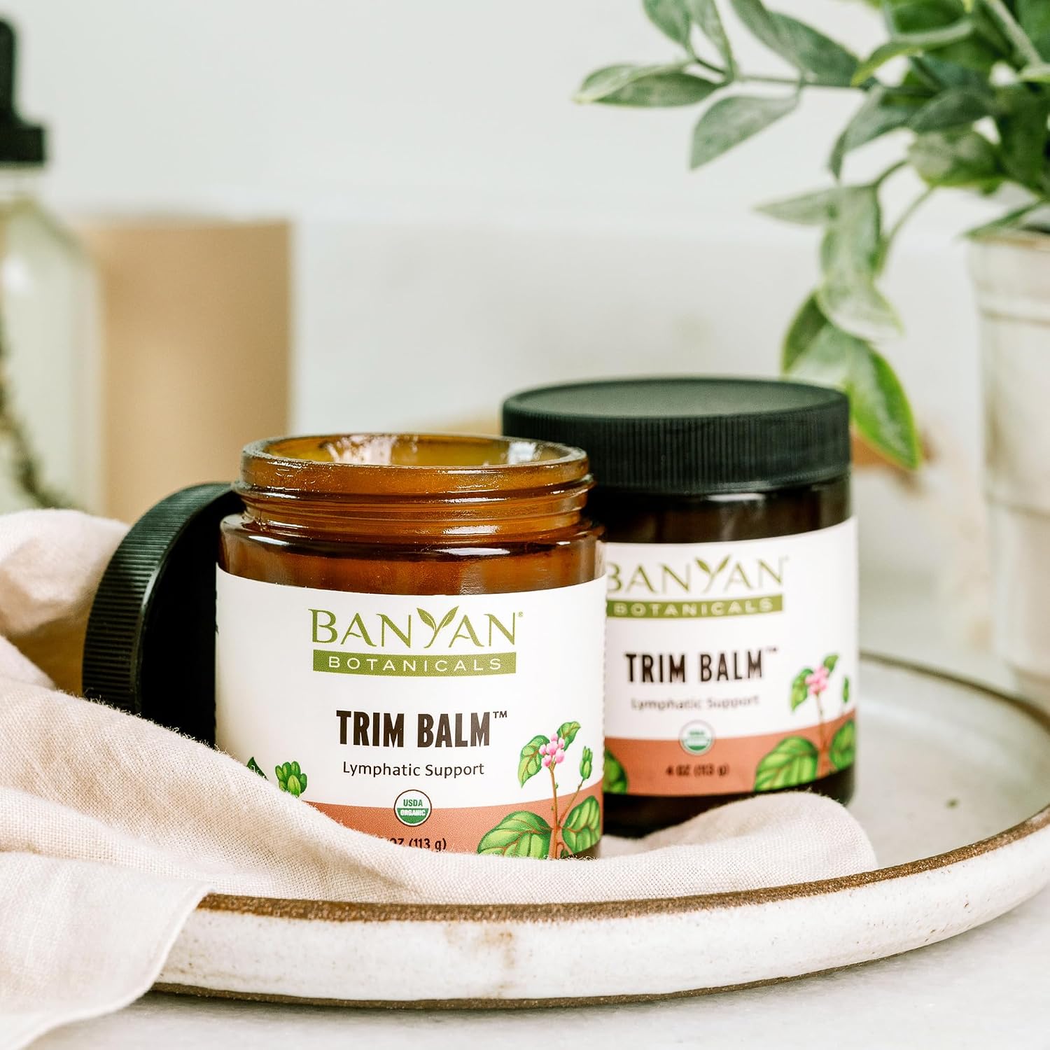Banyan Botanicals Joint Balm – Organic Balm for Joints with Boswellia and Guggulu – for Supporting Comfortable Joints and Overall Joint Health – 4 oz – Non-GMO Sustainably Sourced Petroleum Free