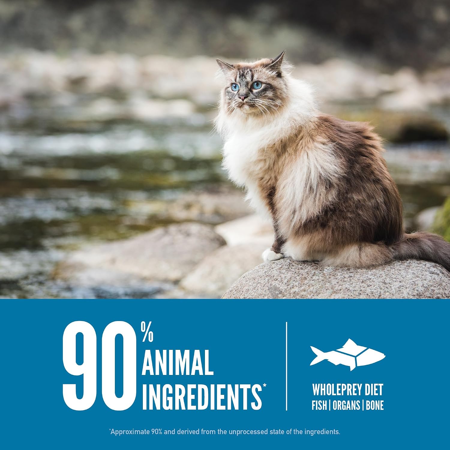 ORIJEN Grain Free WHOLEPREY Dry Cat Food Original Recipe 4lb. Bag | 90% Animal Ingredients, Freeze Dried, Fresh or Raw Ingredients, High Protein, Heart Health, Free-Run Poultry