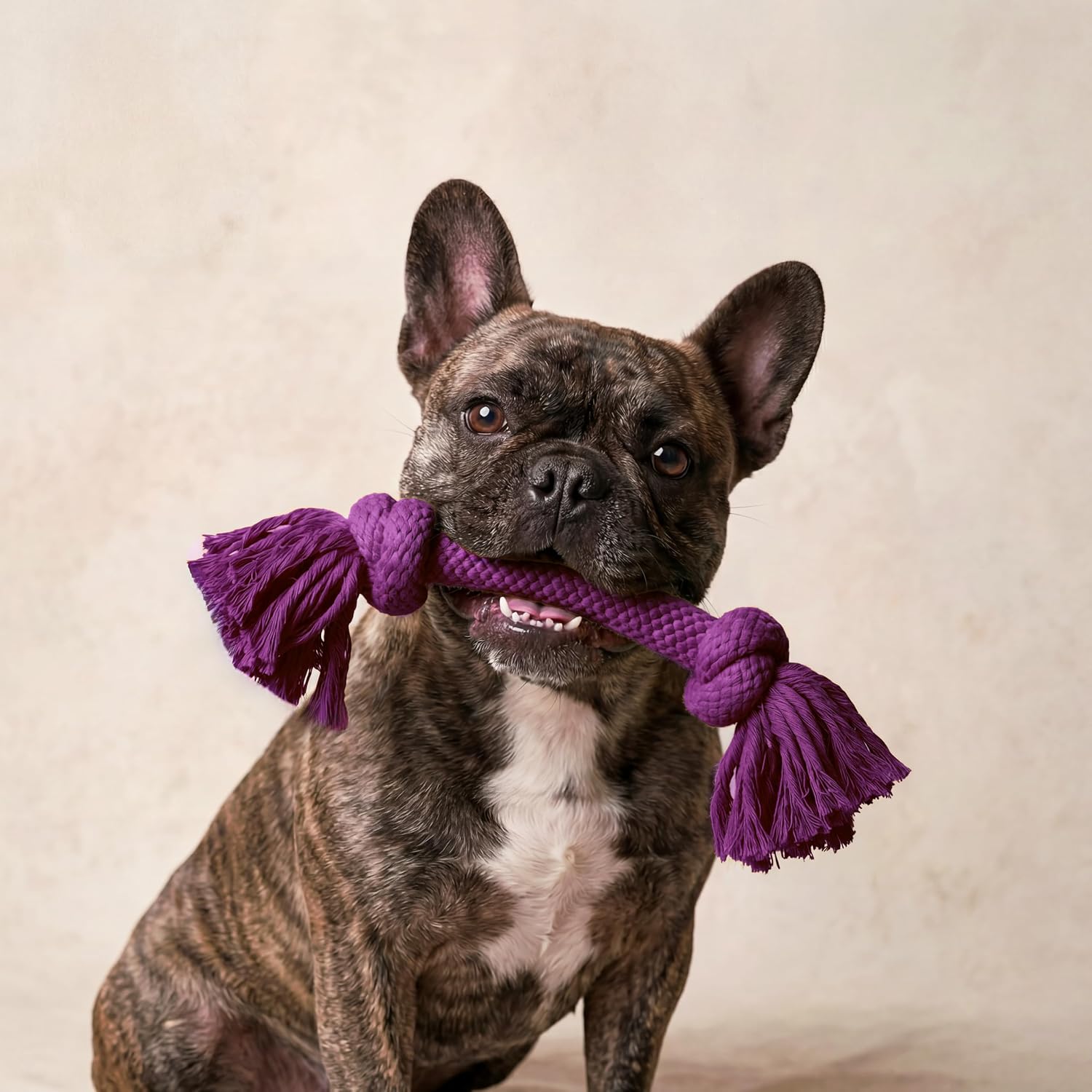 Playology Tug Rope Dog Toys for Large Breed Dogs - Jumbo, Beef Scent