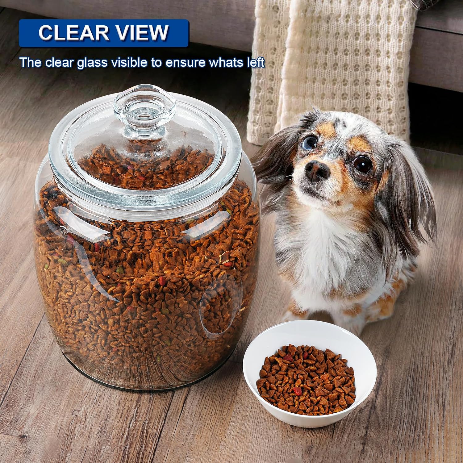 Daitouge 2.5 Gallon Glass Jars with Lids, Wide Opening Large Jar, 1 Pack